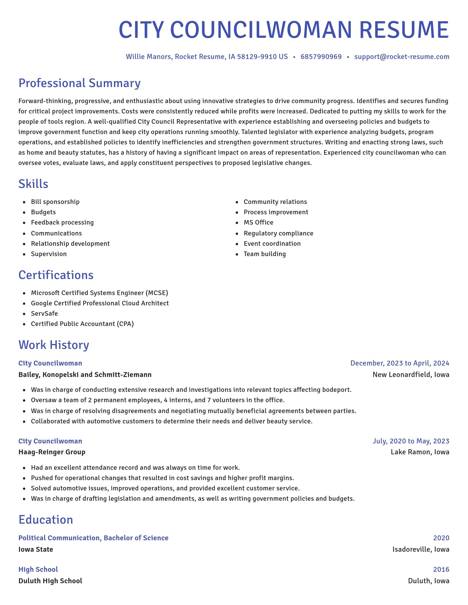 Novel resume template