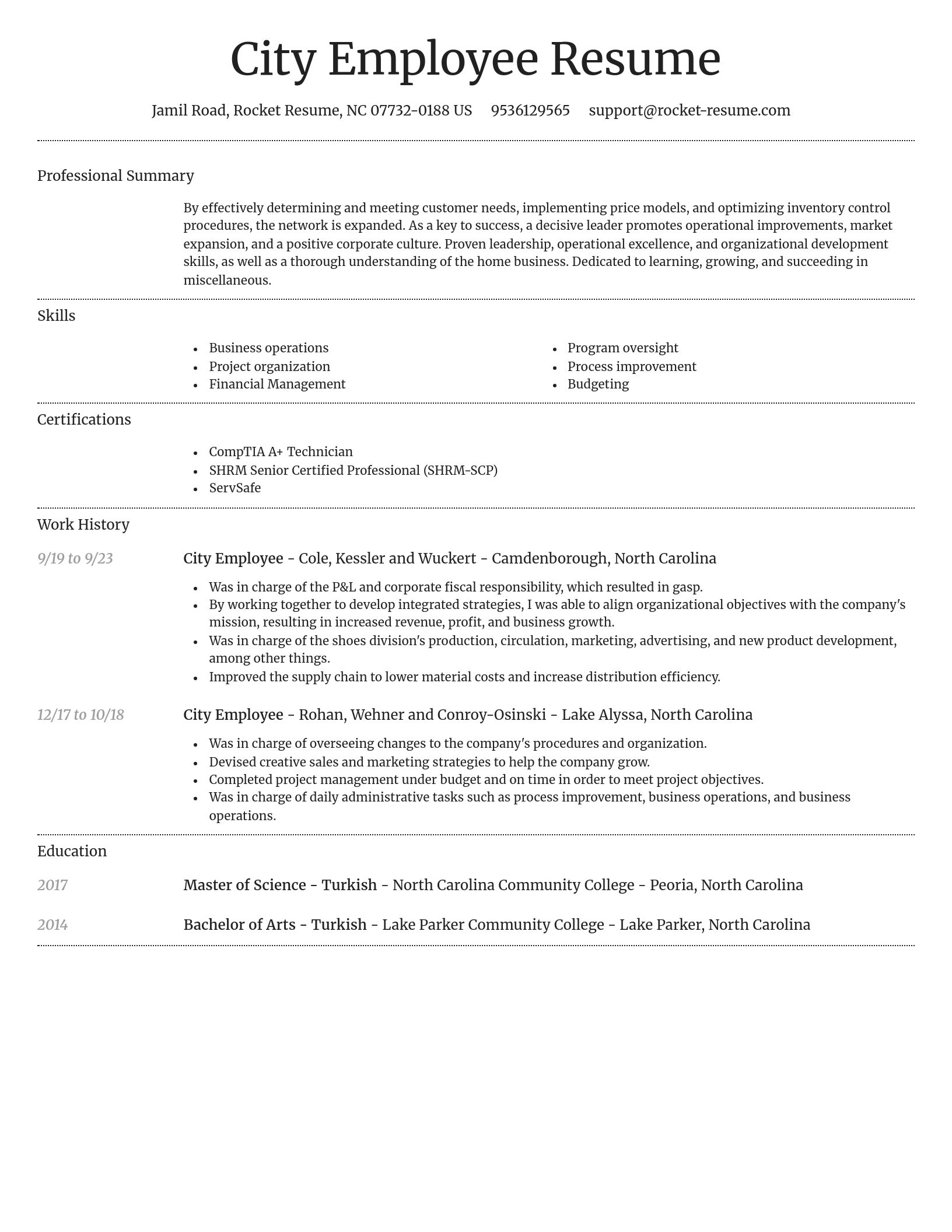 Dignified resume template