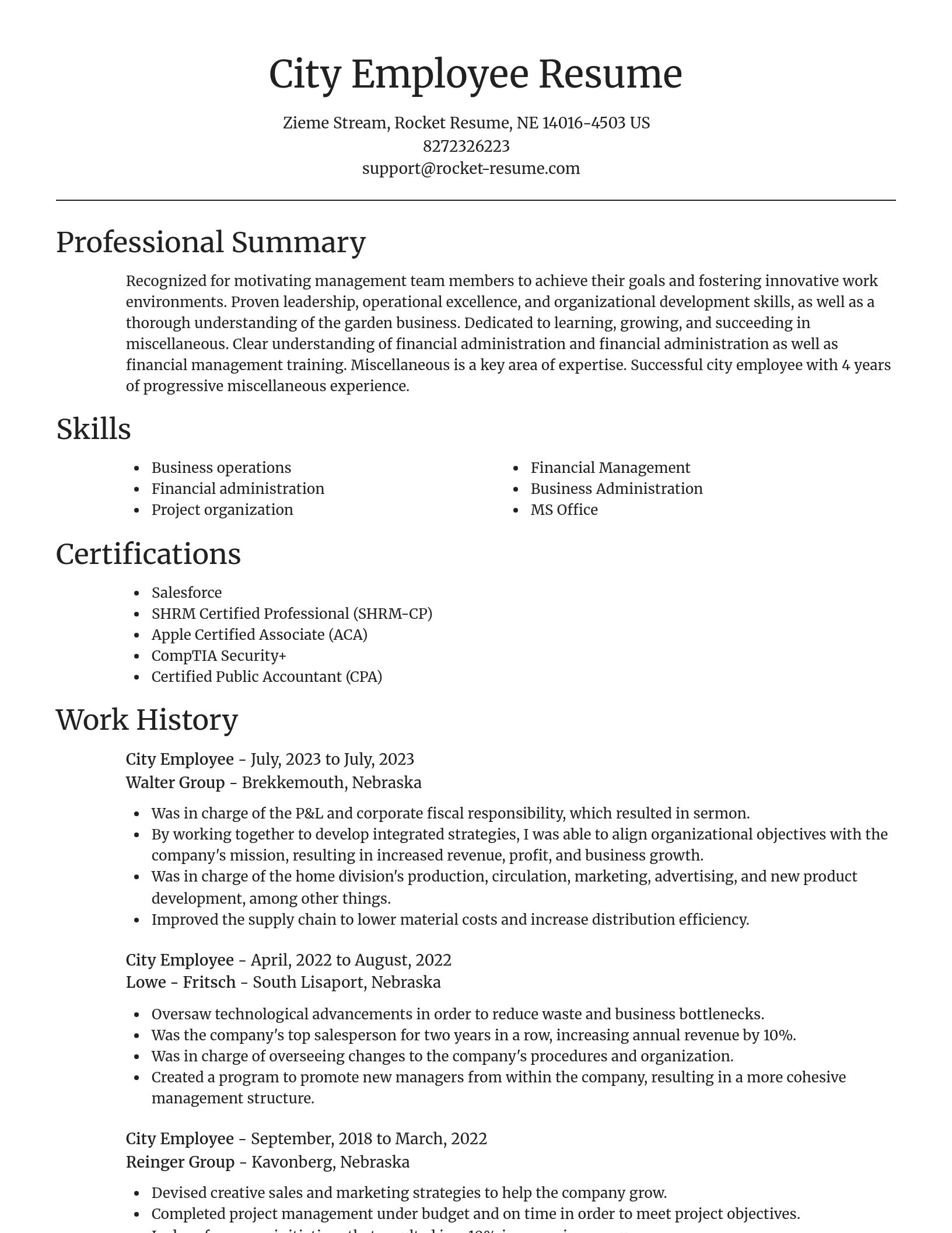 Focal Point resume template