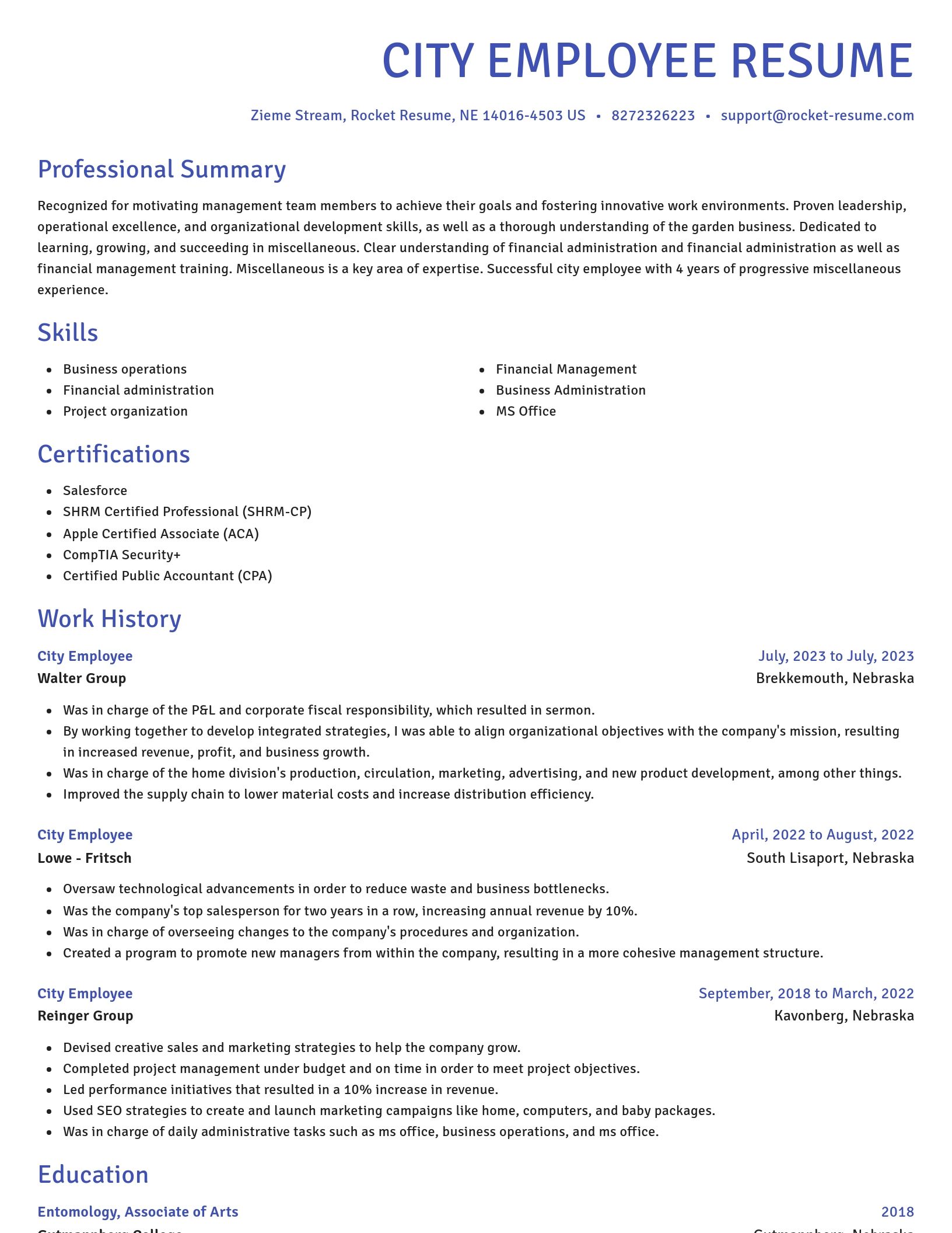 Novel resume template
