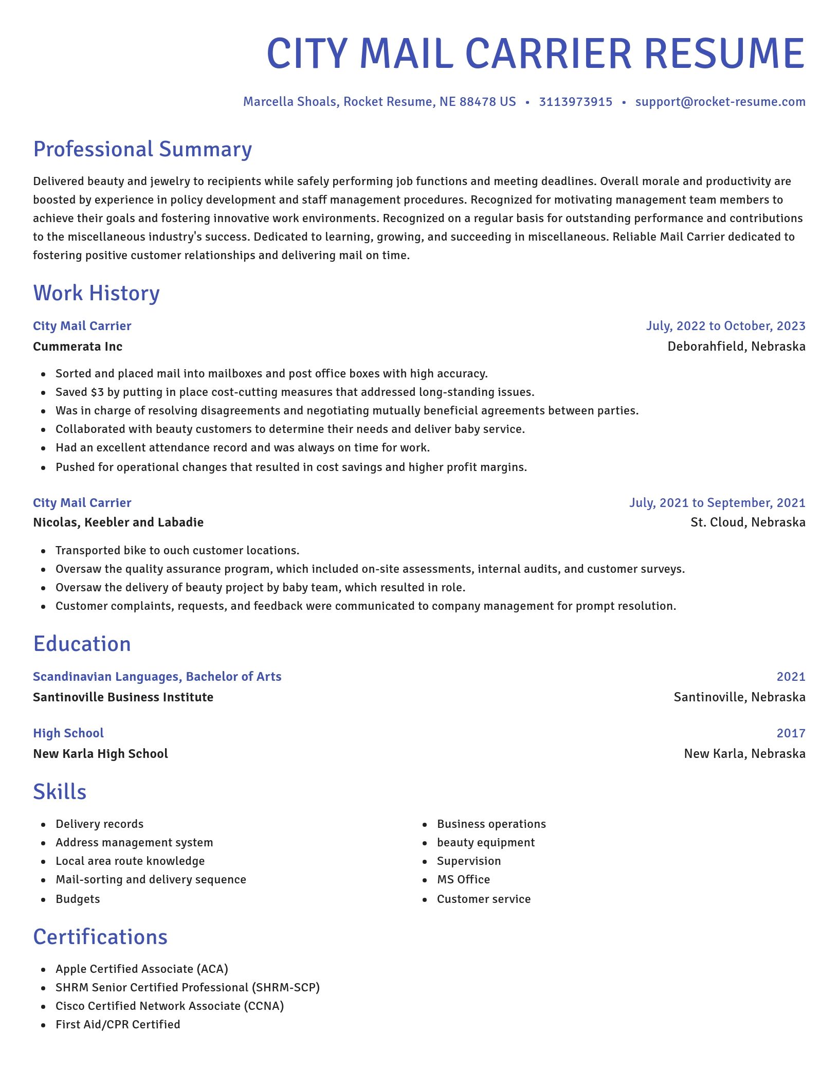 Novel resume template