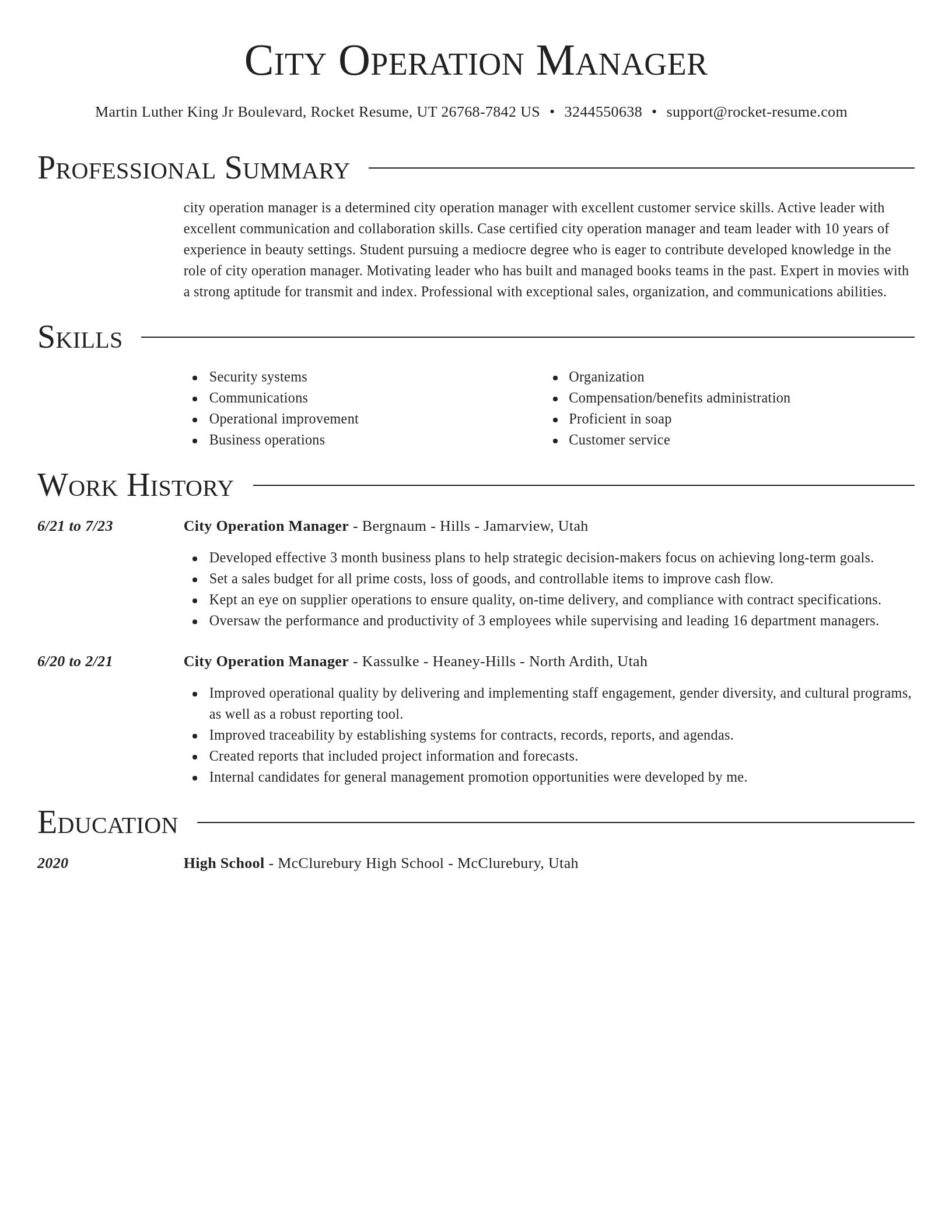 Director resume template