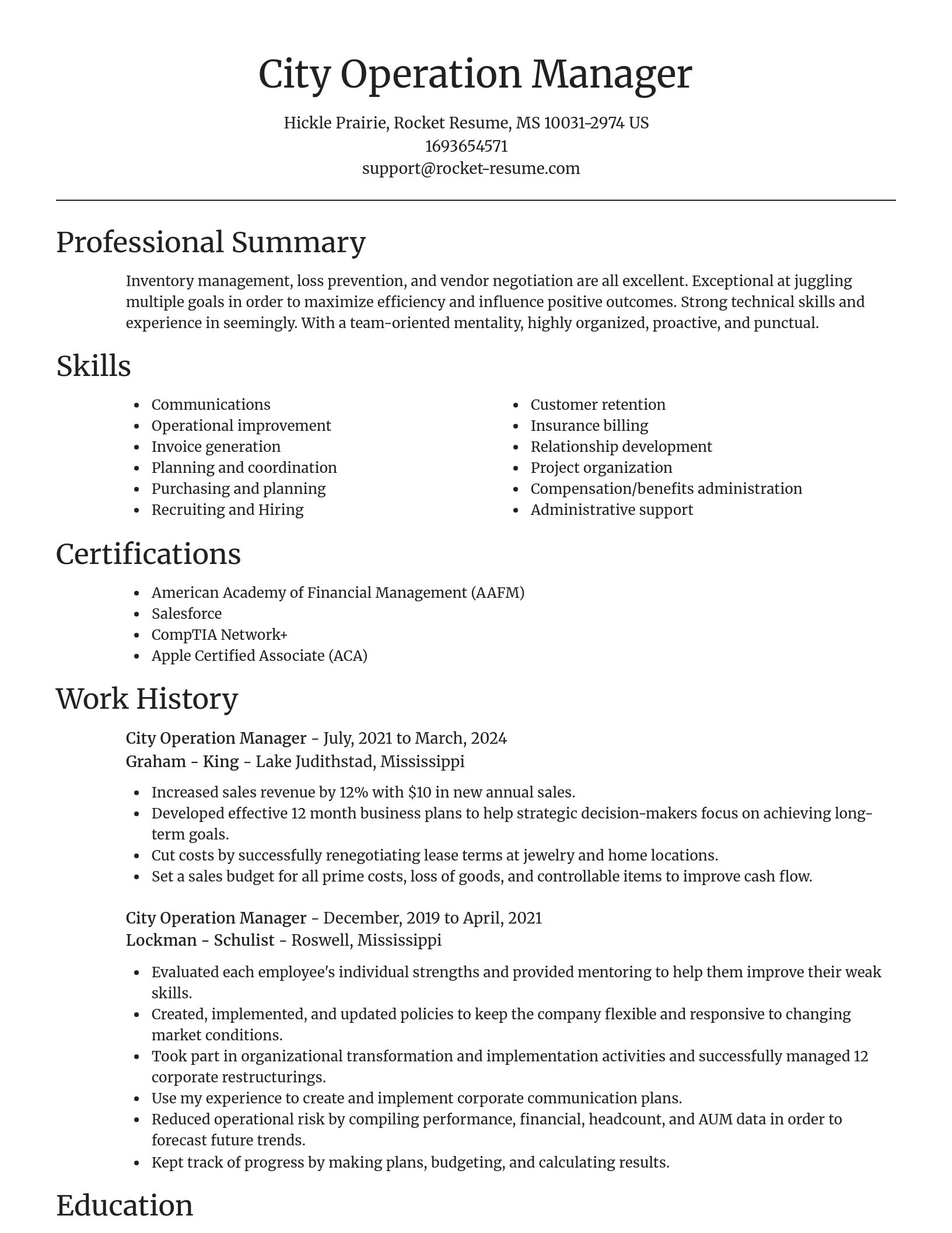 Focal Point resume template