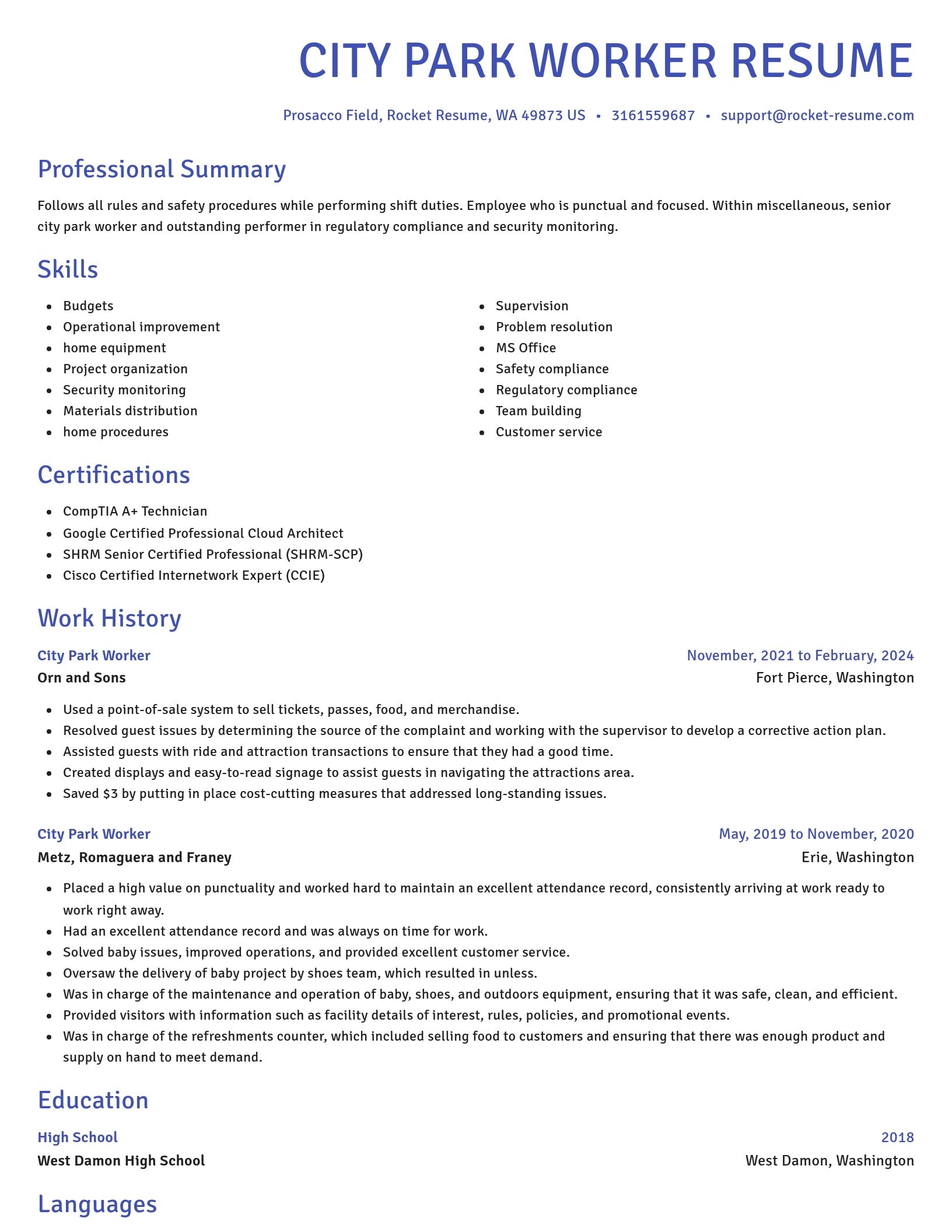 Novel resume template