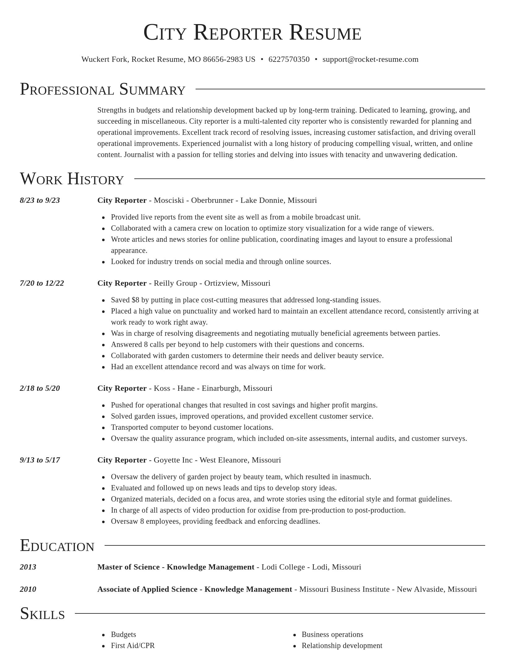 Director resume template