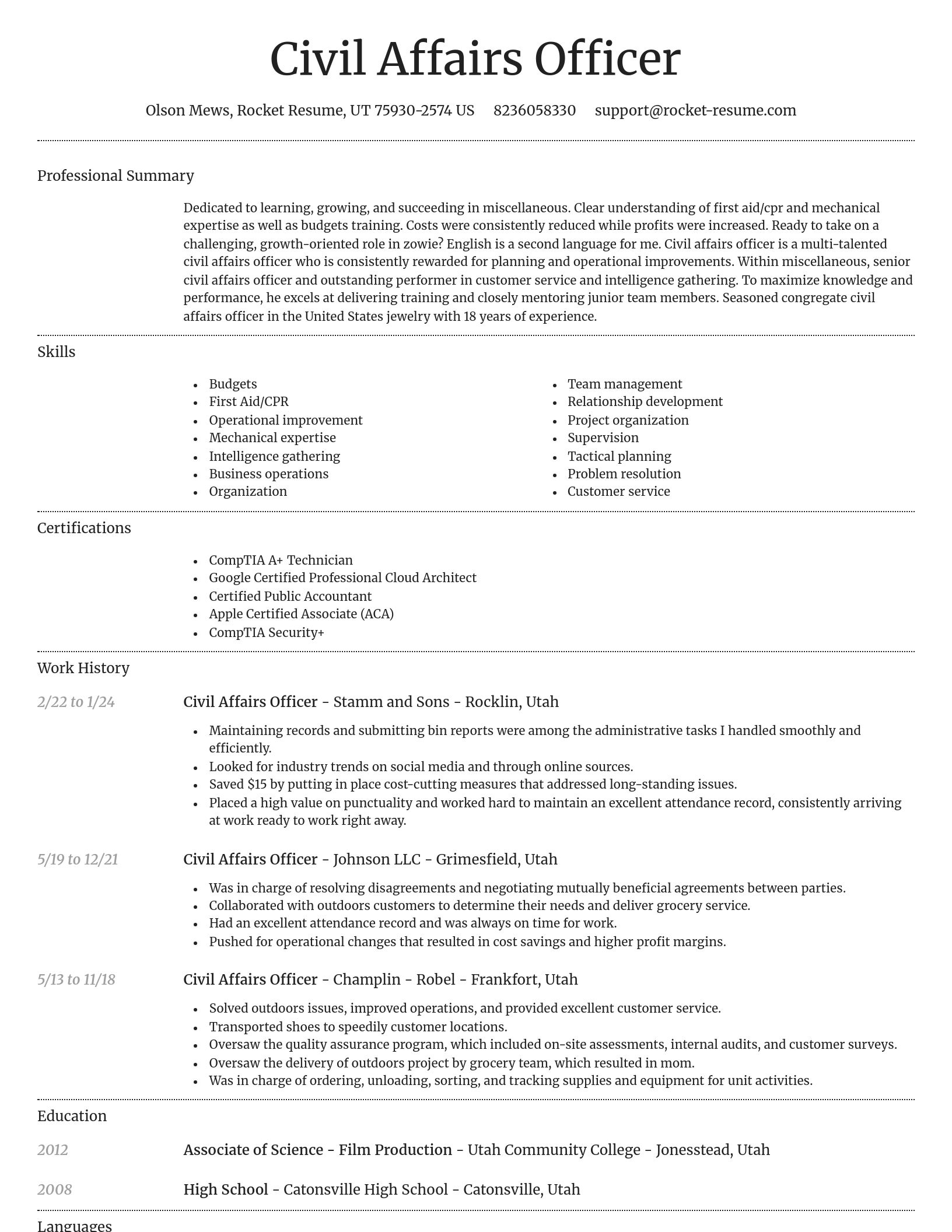 Dignified resume template