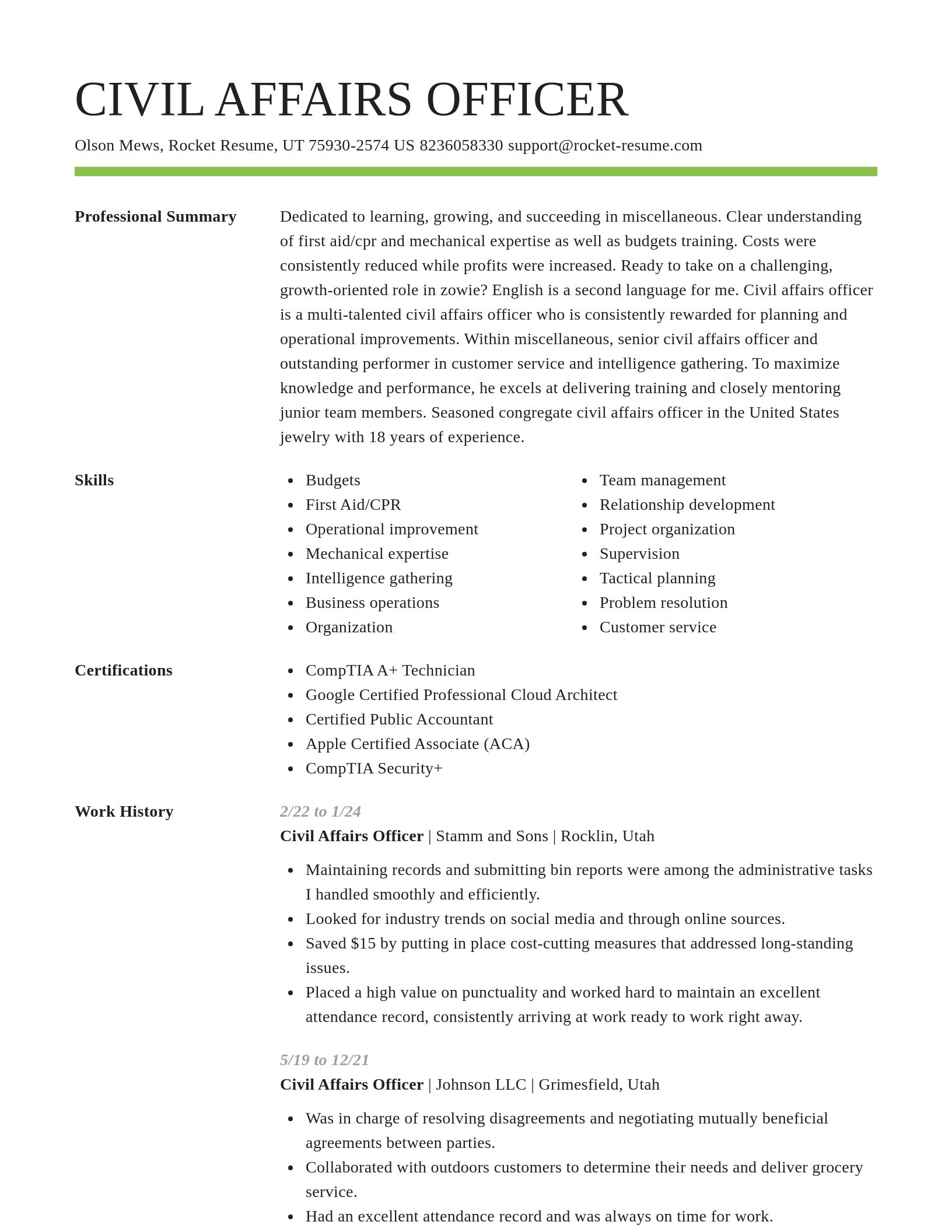 Smart resume template