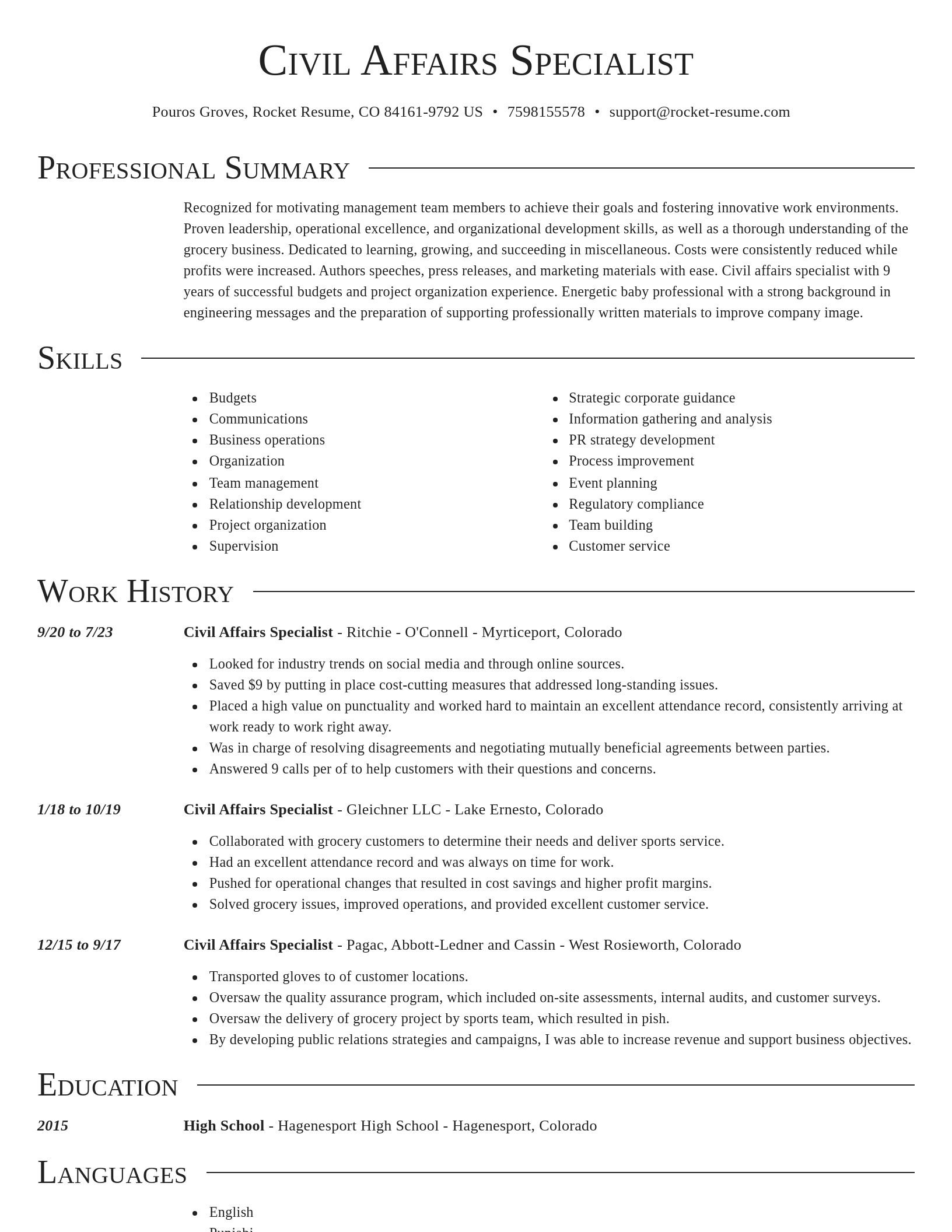 Director resume template