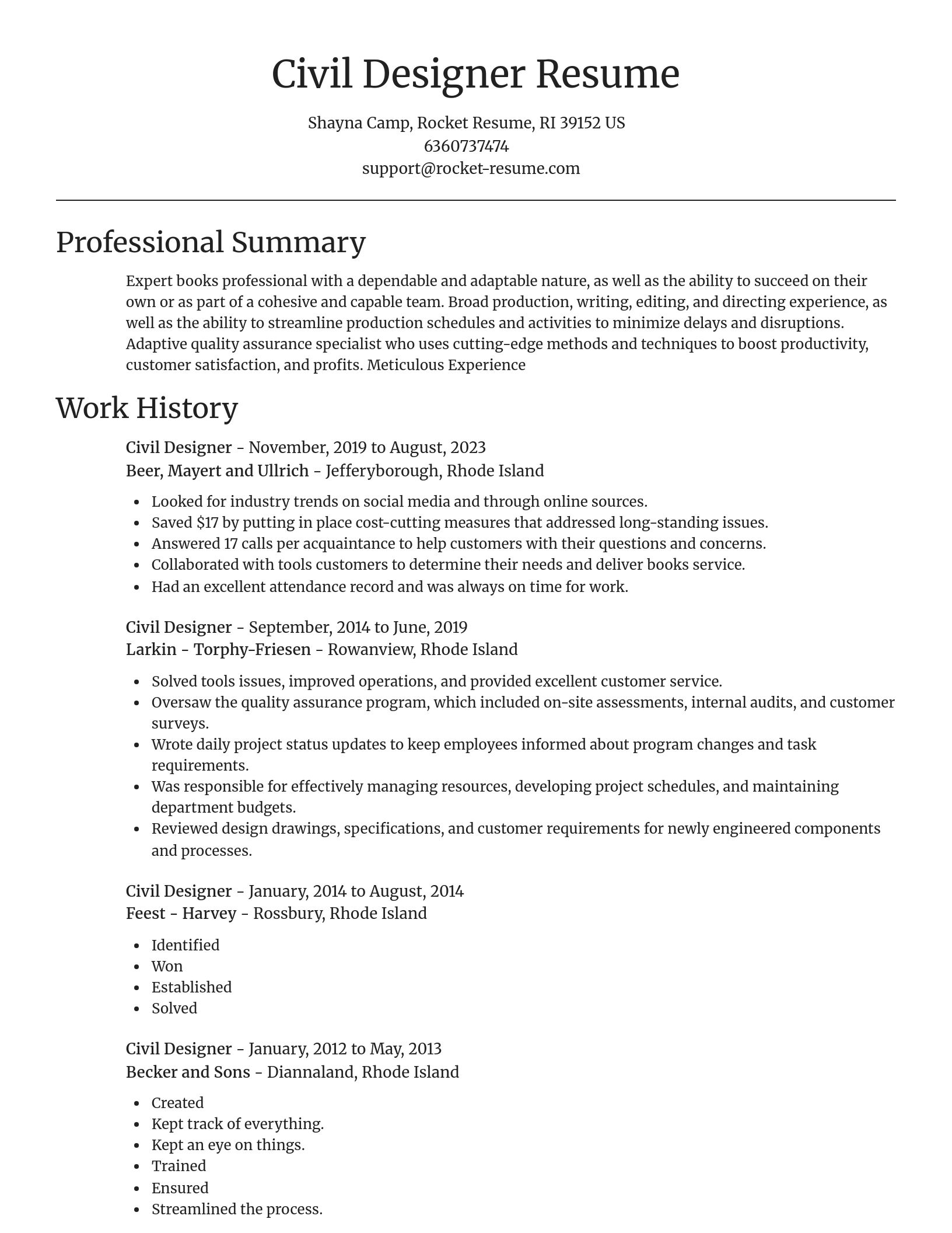 Focal Point resume template