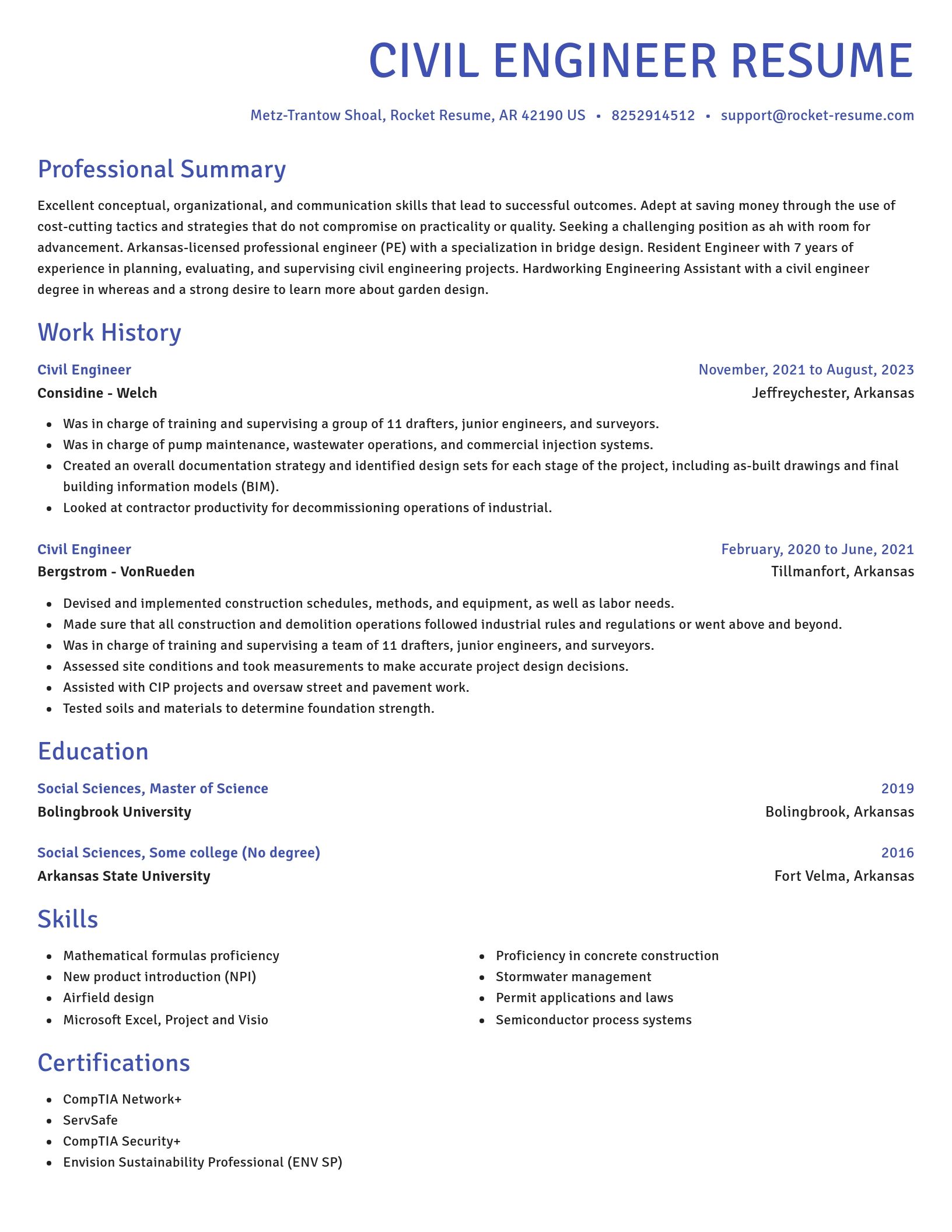 Novel resume template