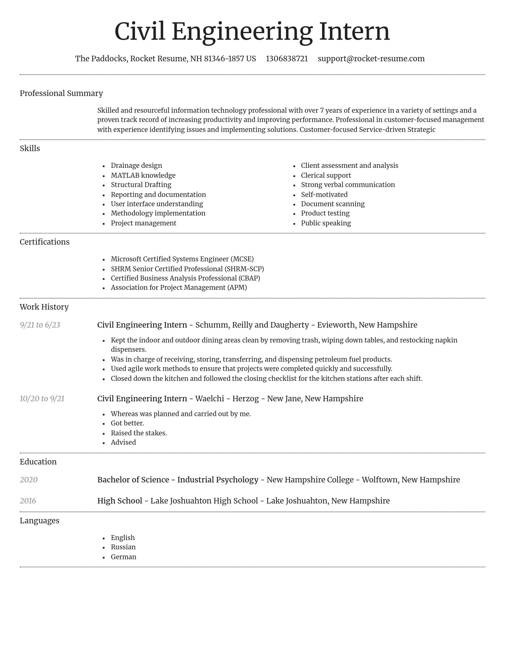 Dignified resume template