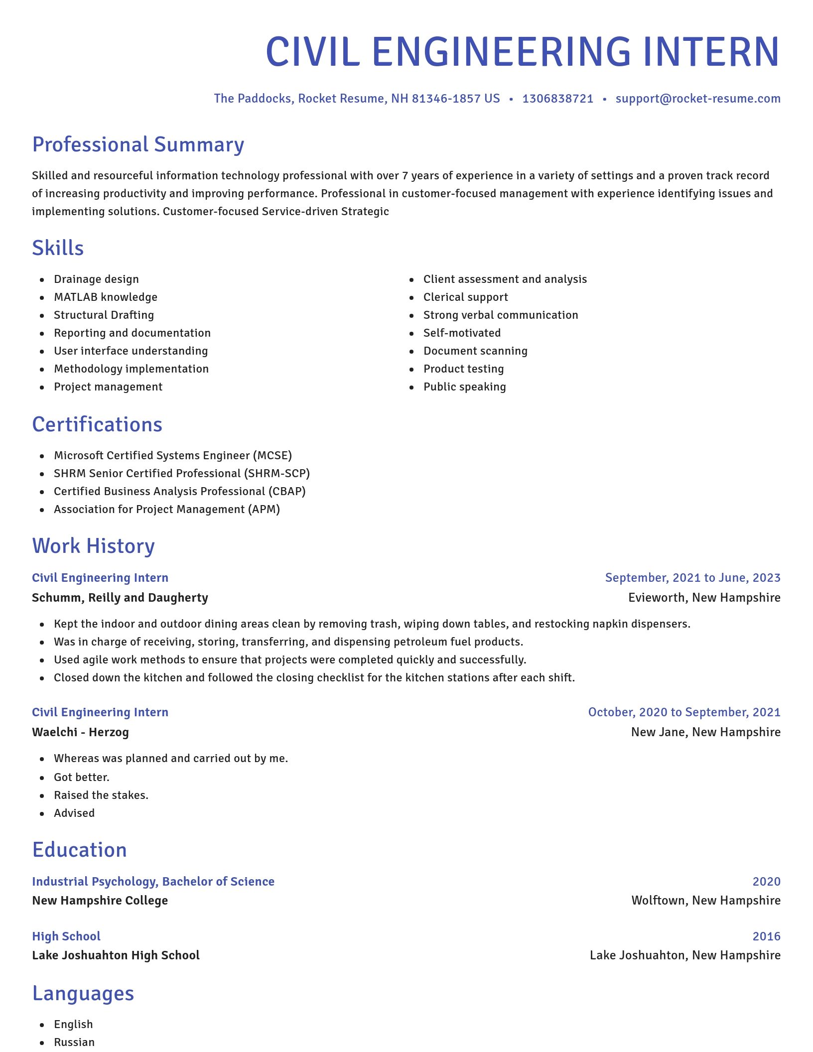 Novel resume template