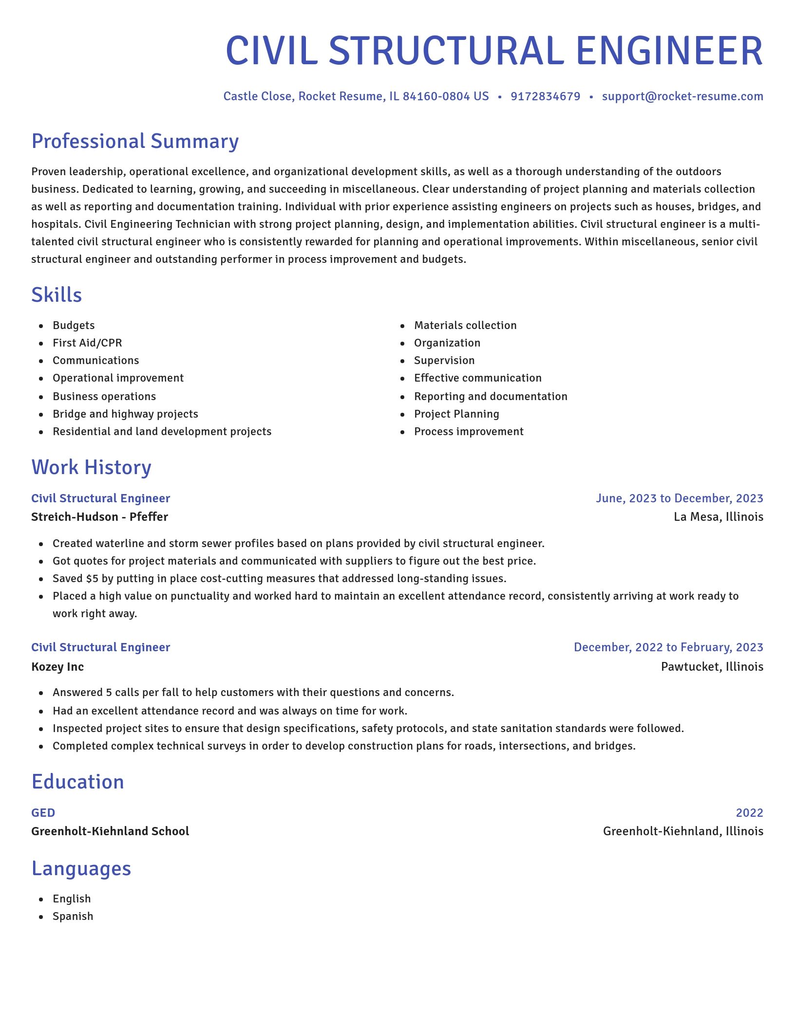 Novel resume template