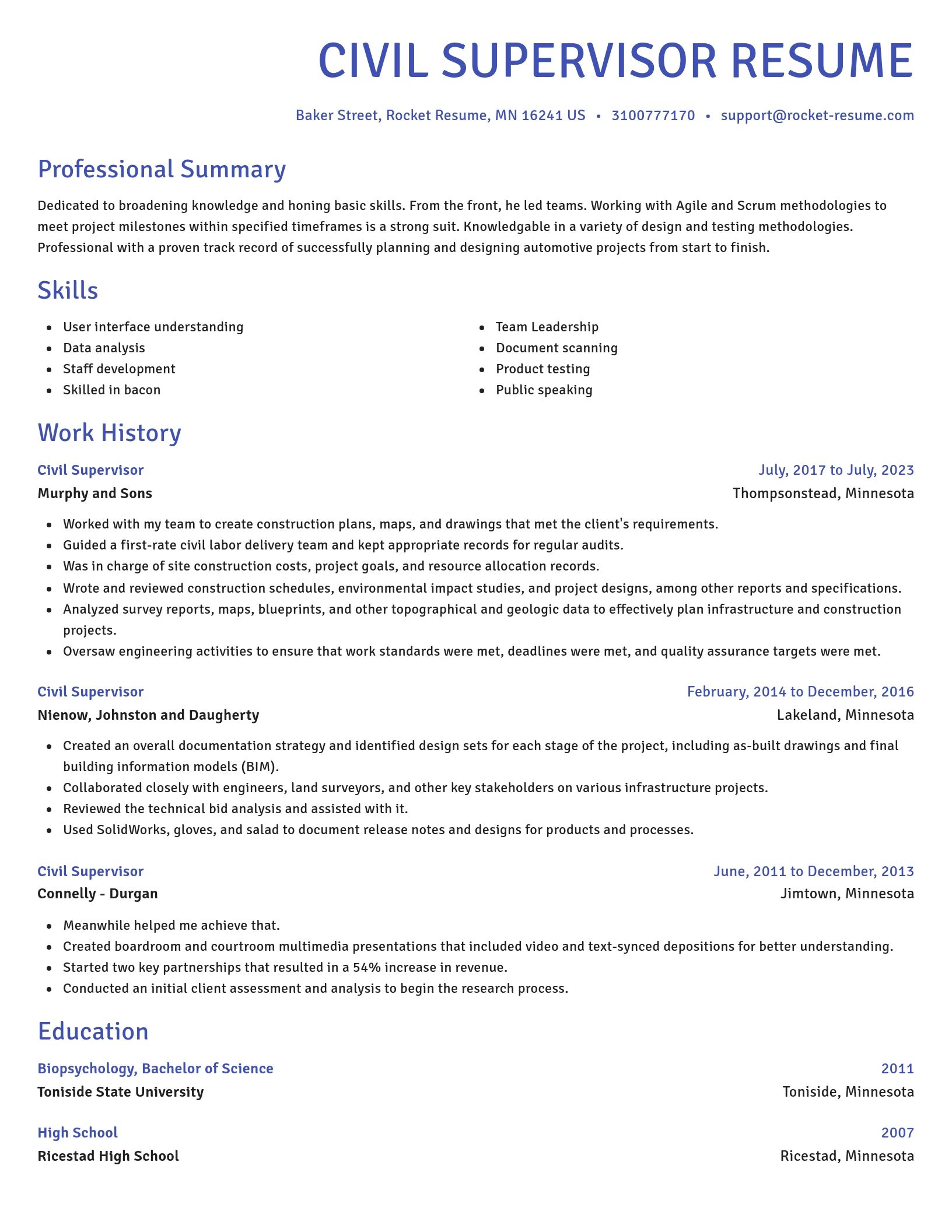 Novel resume template