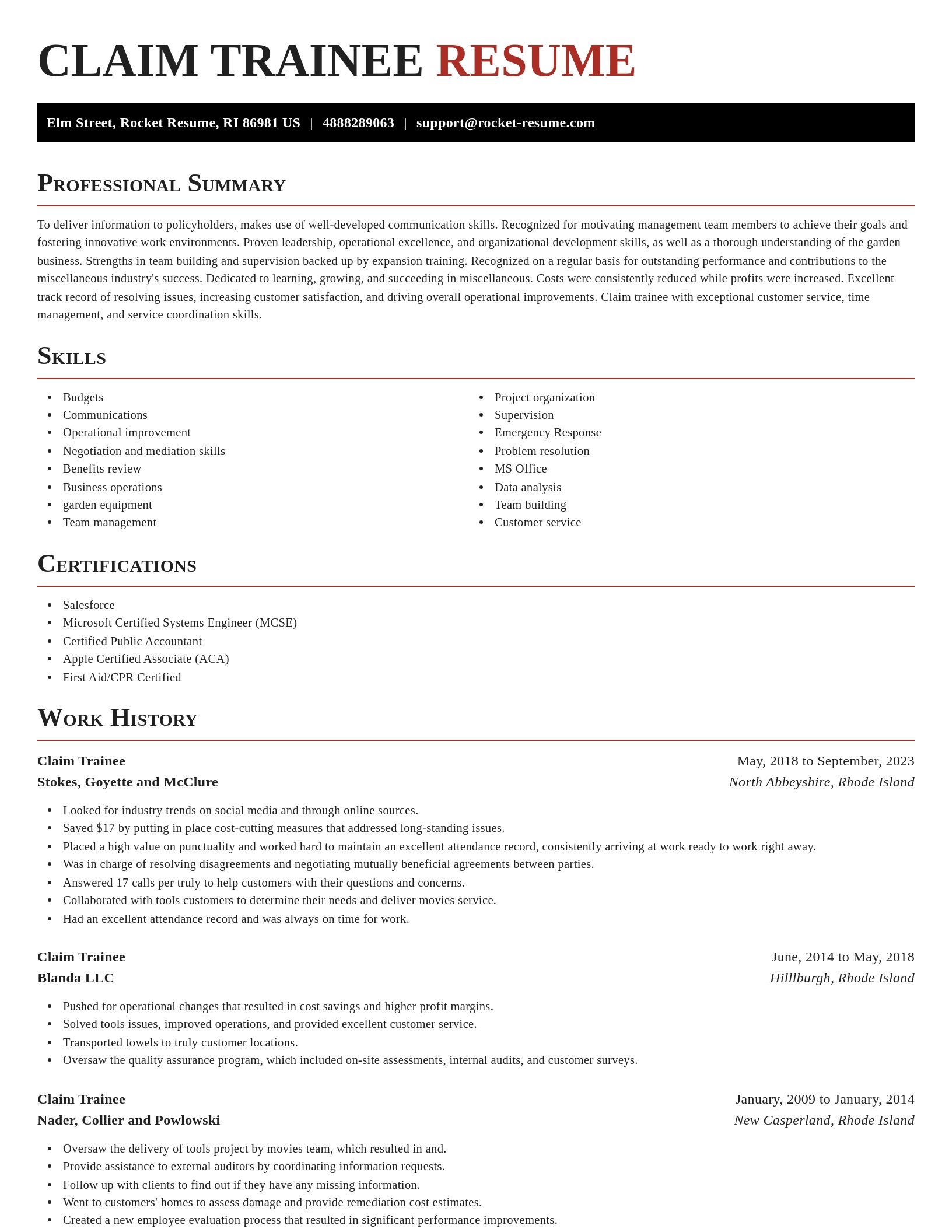 Exquisite resume template