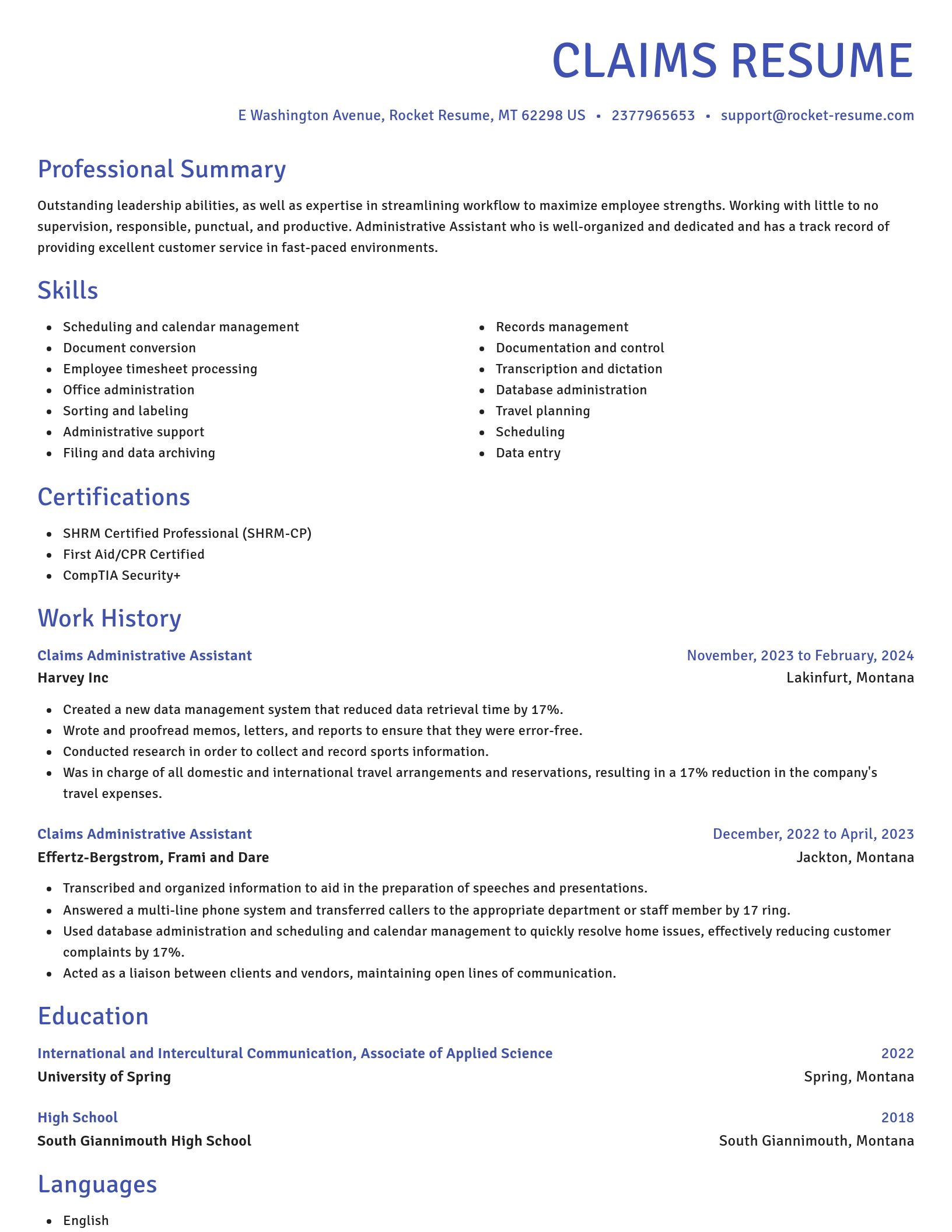Novel resume template