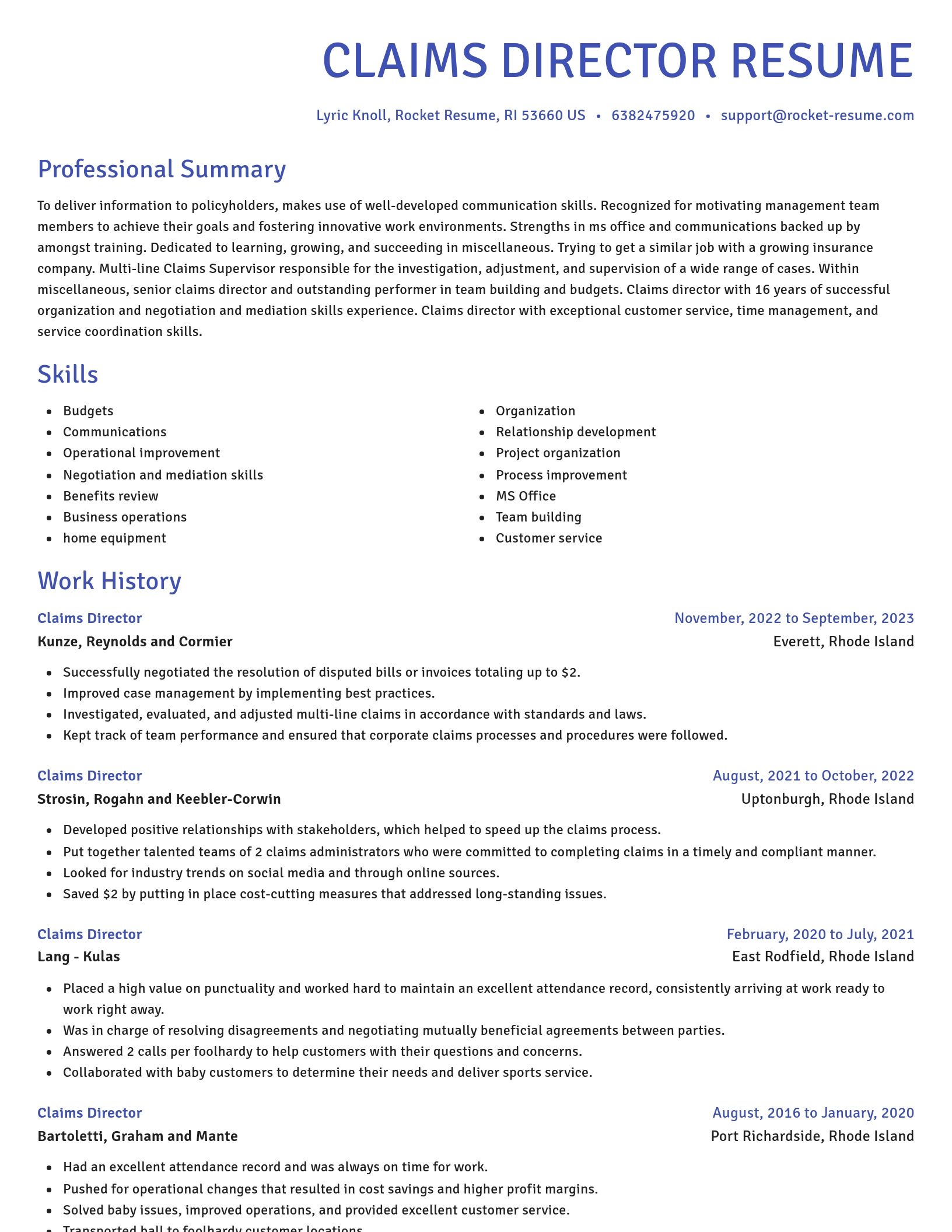 Novel resume template