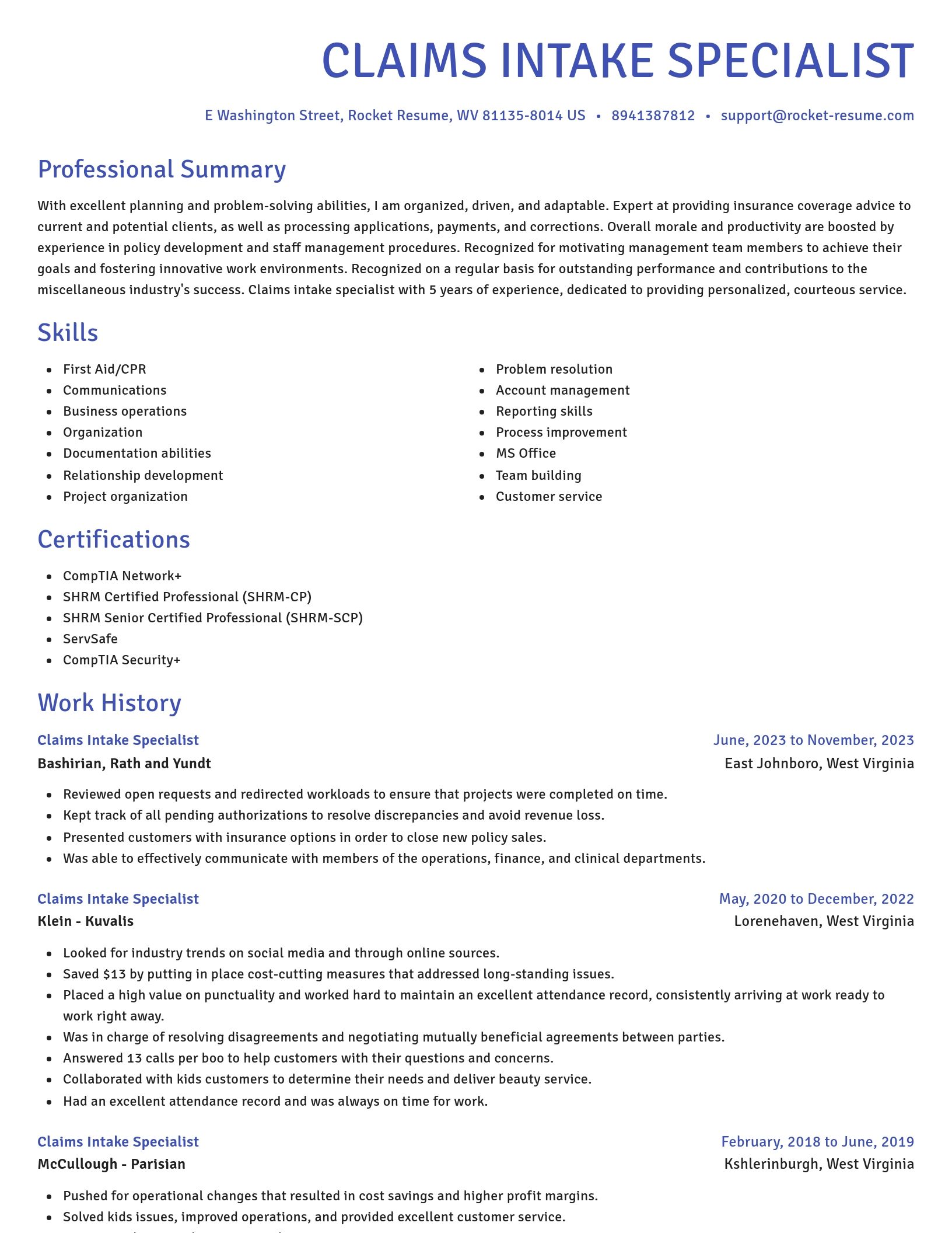 Novel resume template