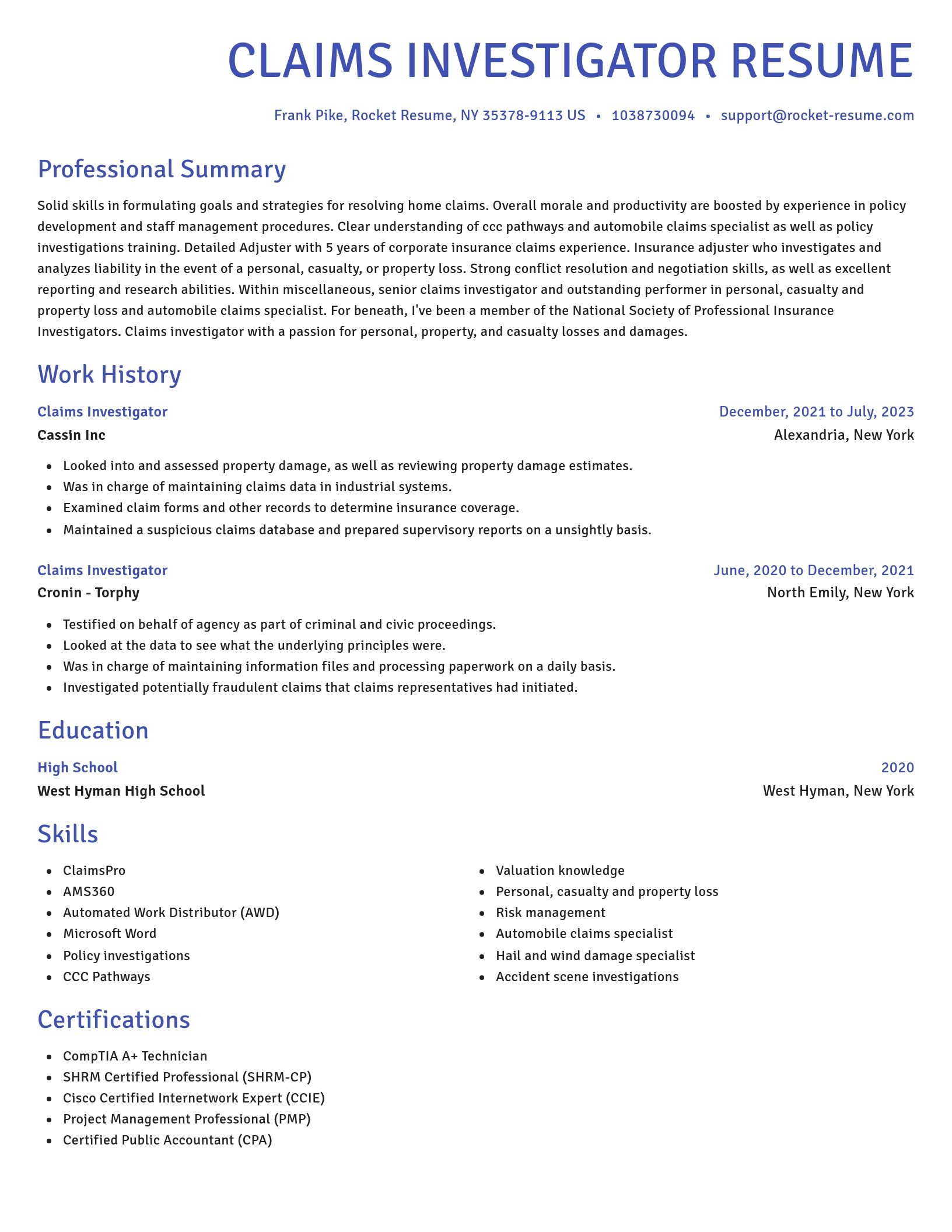 Novel resume template
