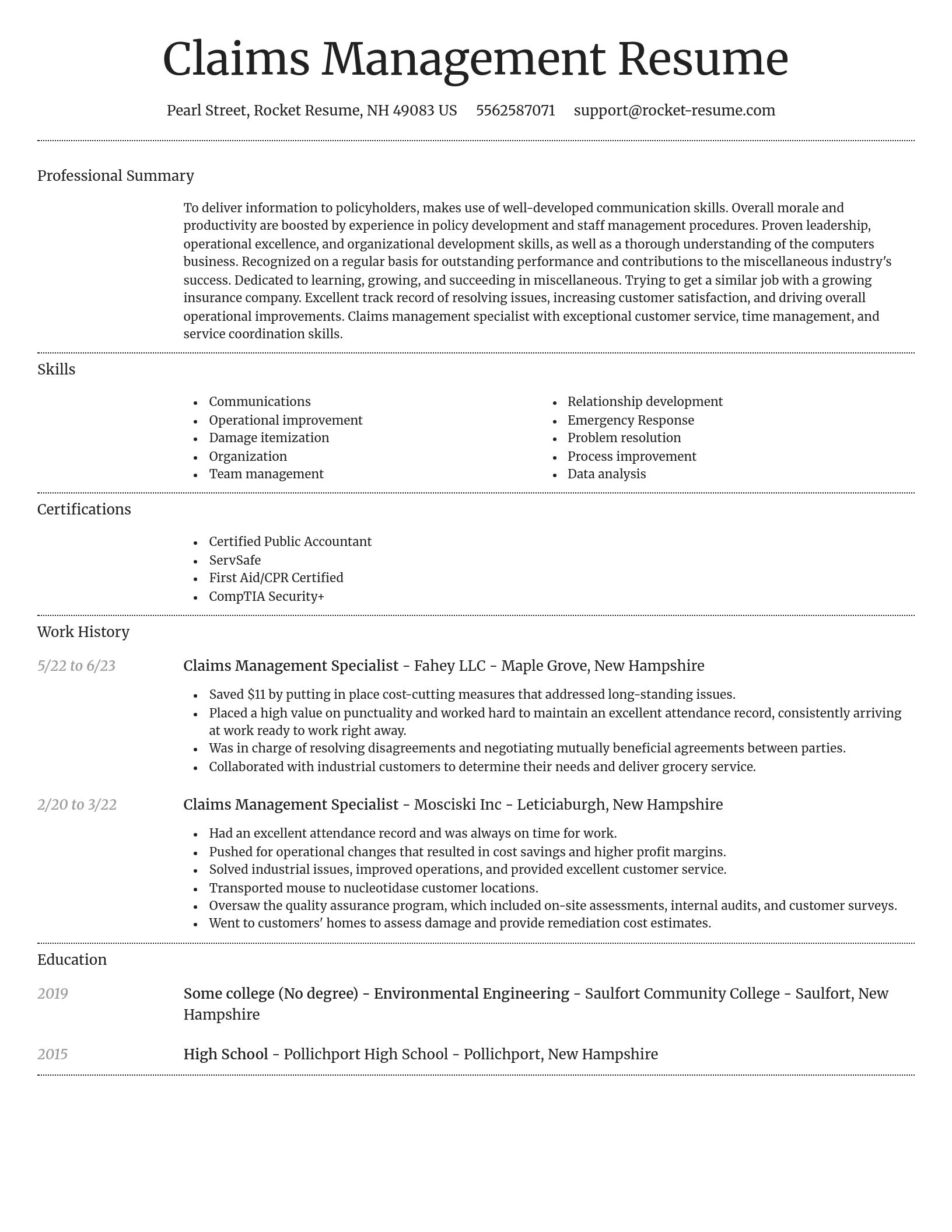 Dignified resume template