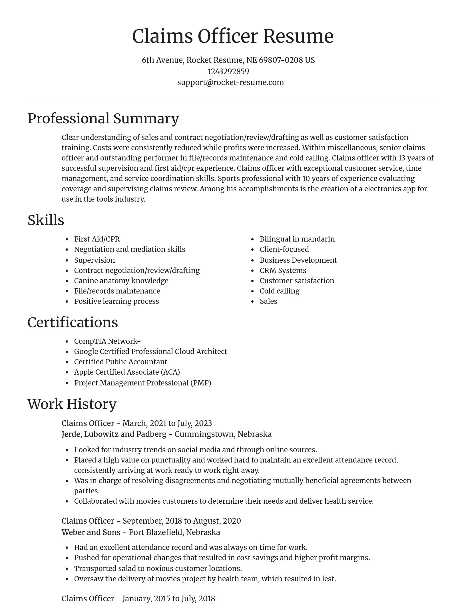 Focal Point resume template