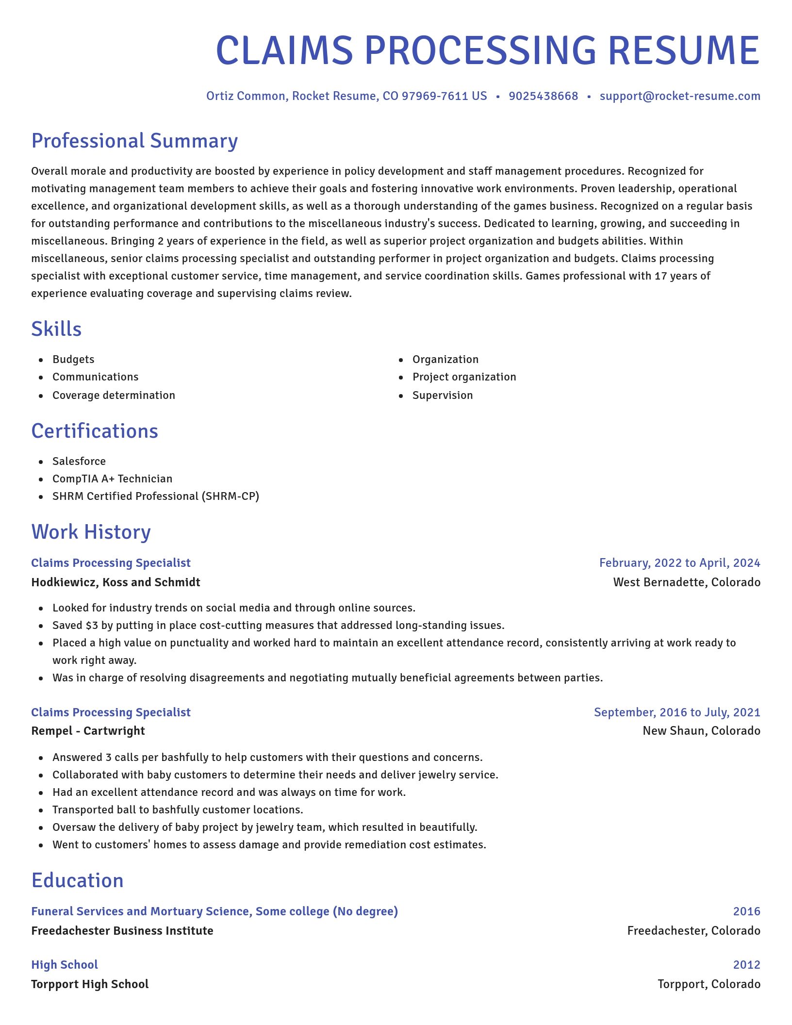 Novel resume template