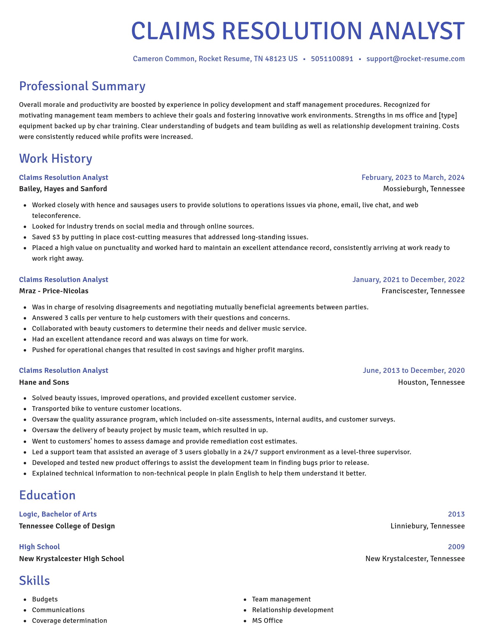 Novel resume template