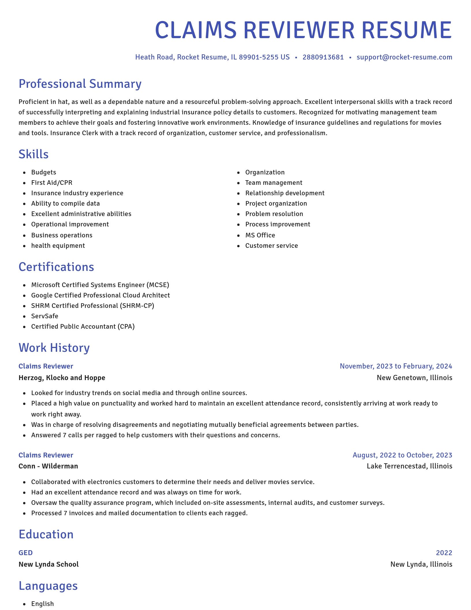 Novel resume template