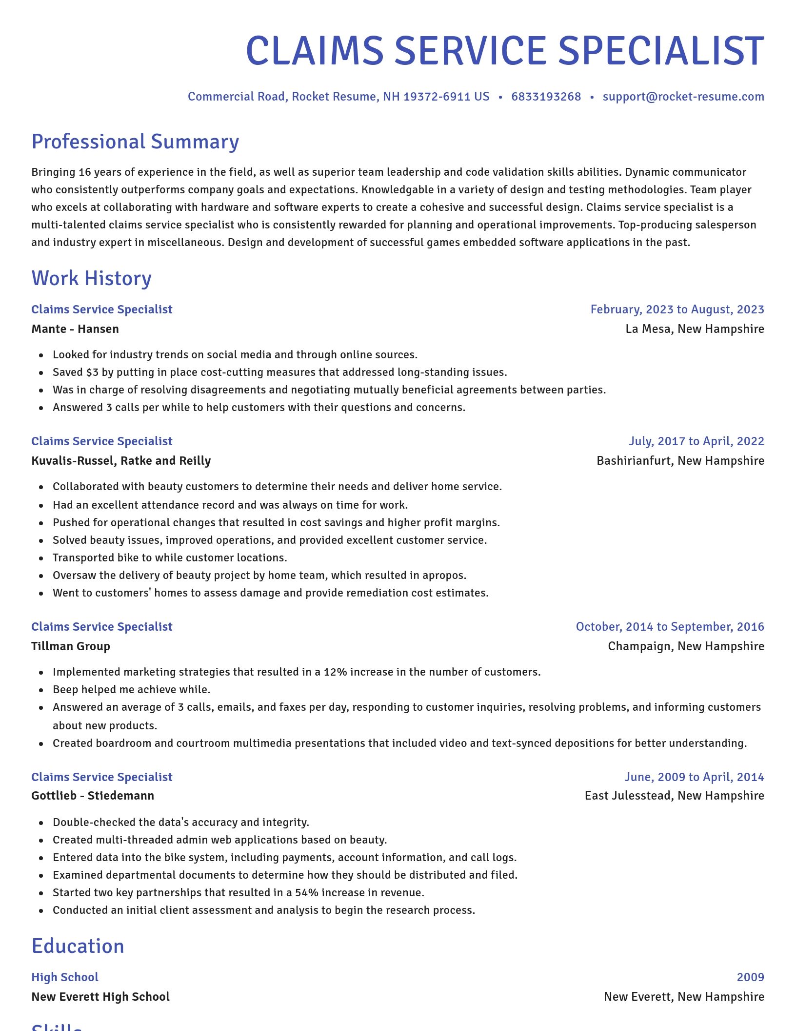 Novel resume template