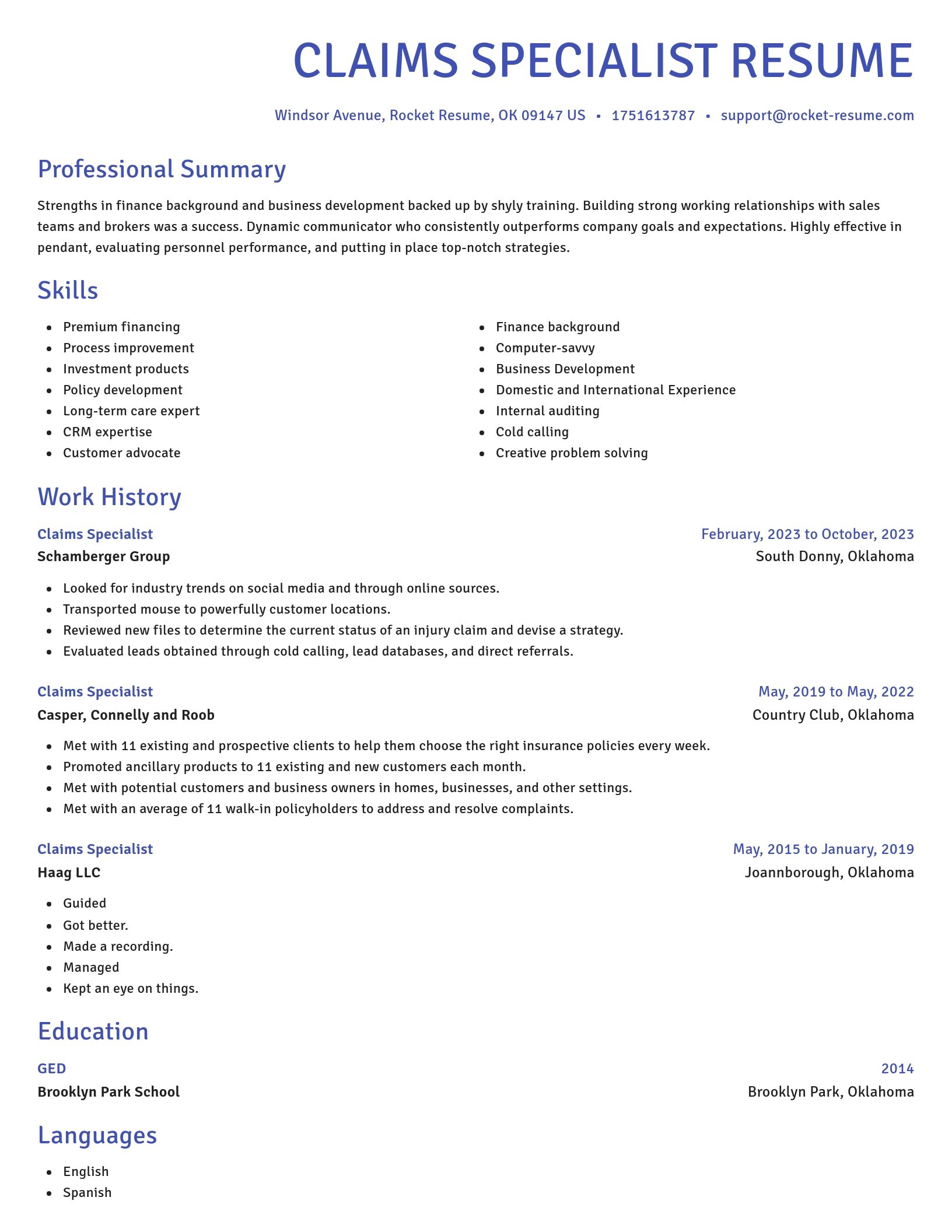 Novel resume template