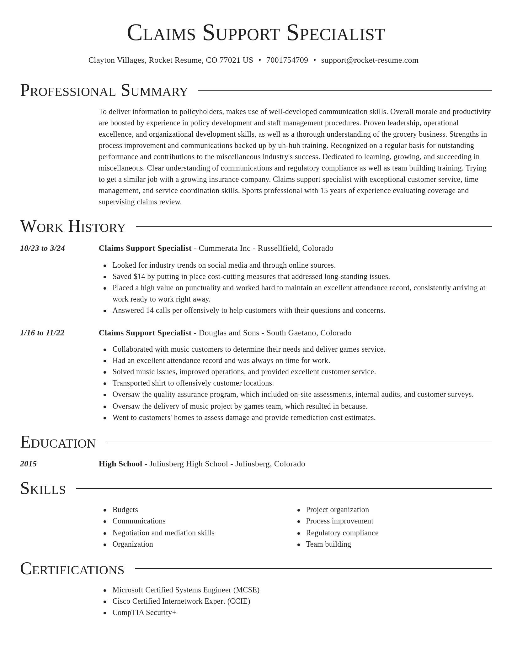 Director resume template