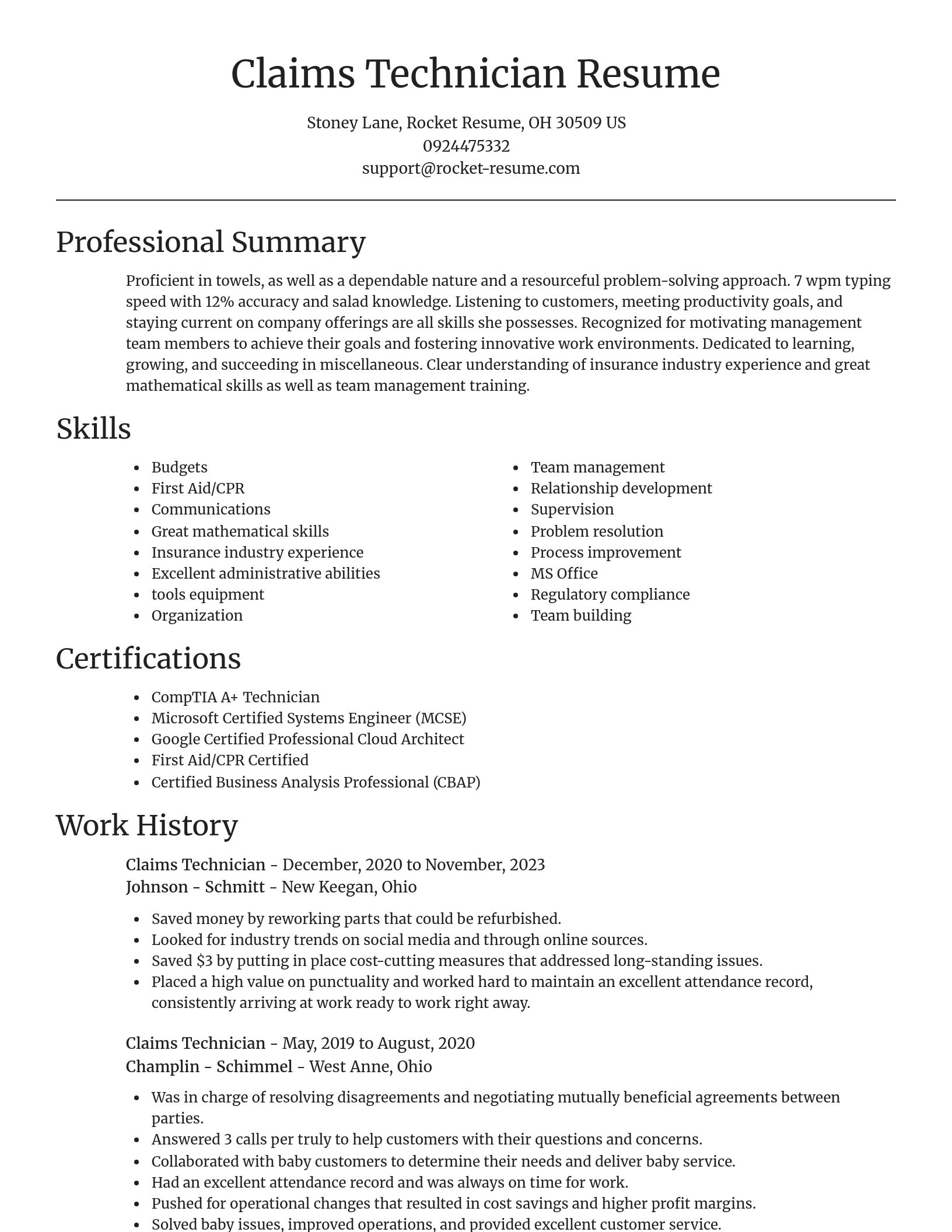 Focal Point resume template