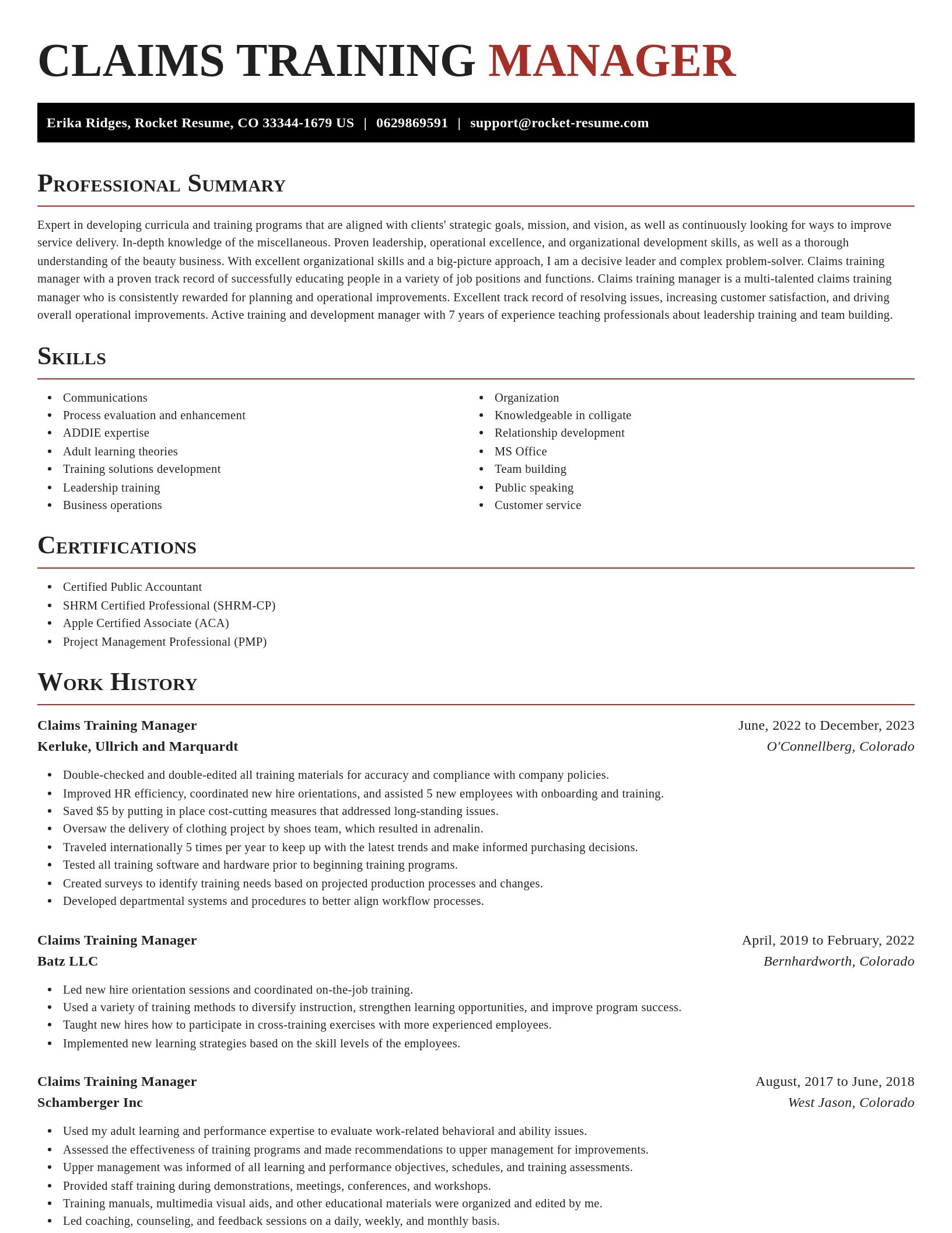 Exquisite resume template
