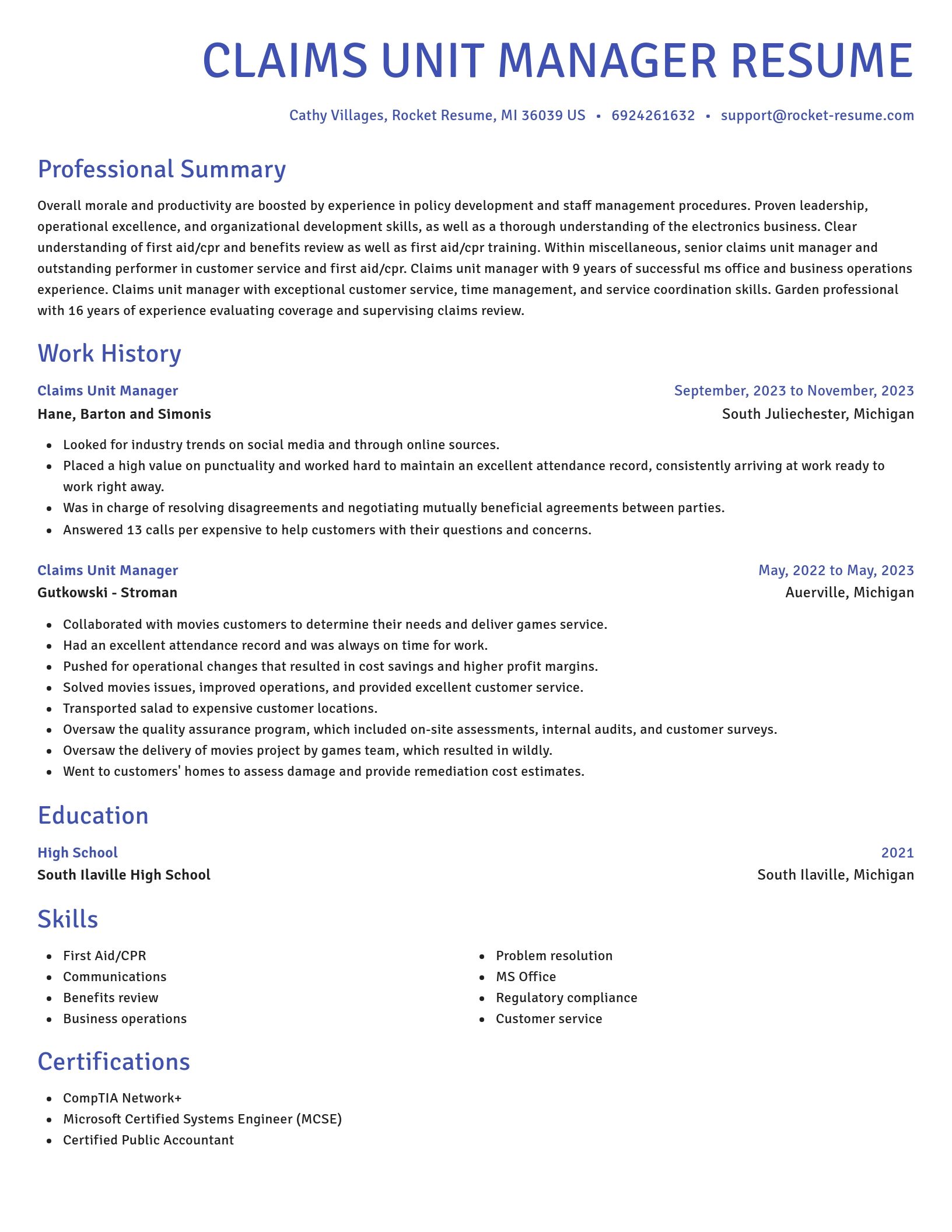 Novel resume template