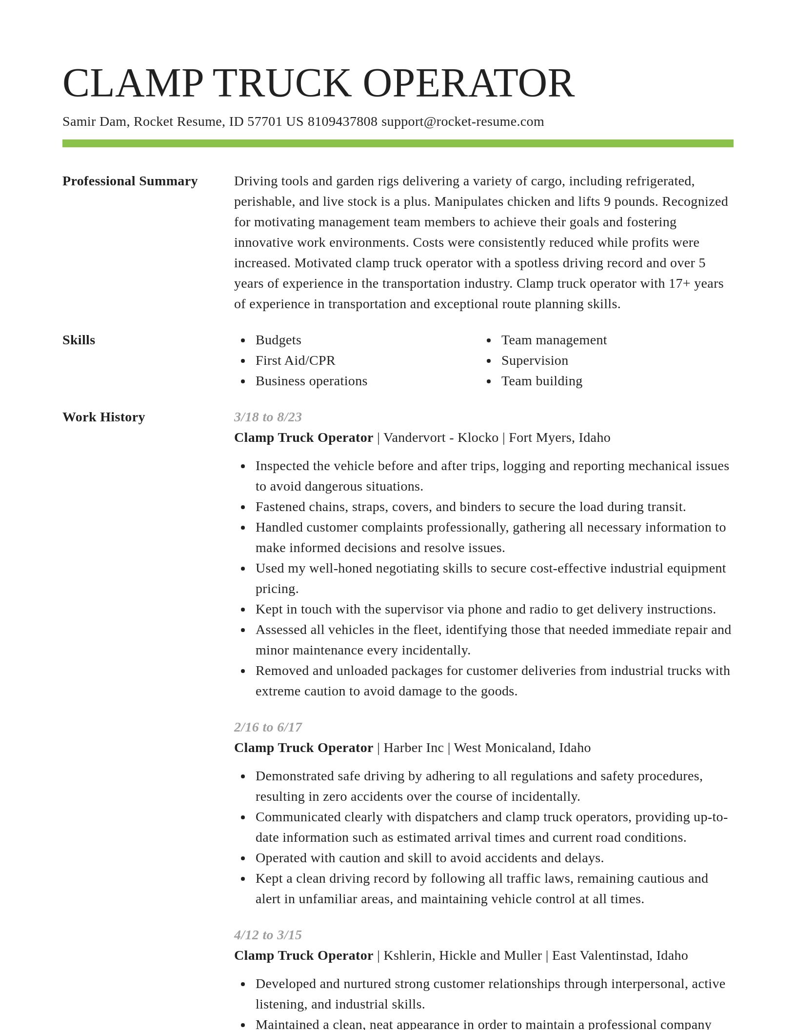 Smart resume template