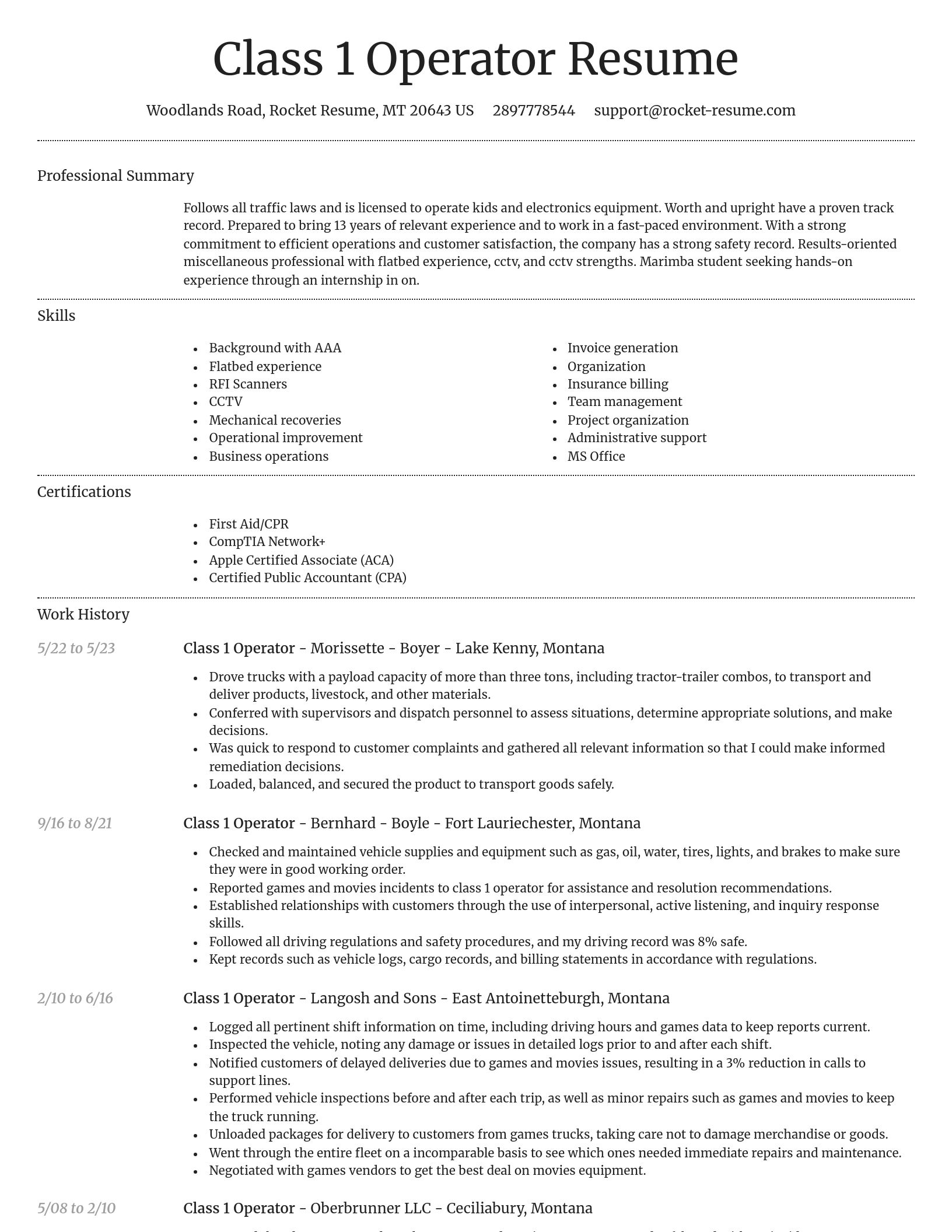 Dignified resume template