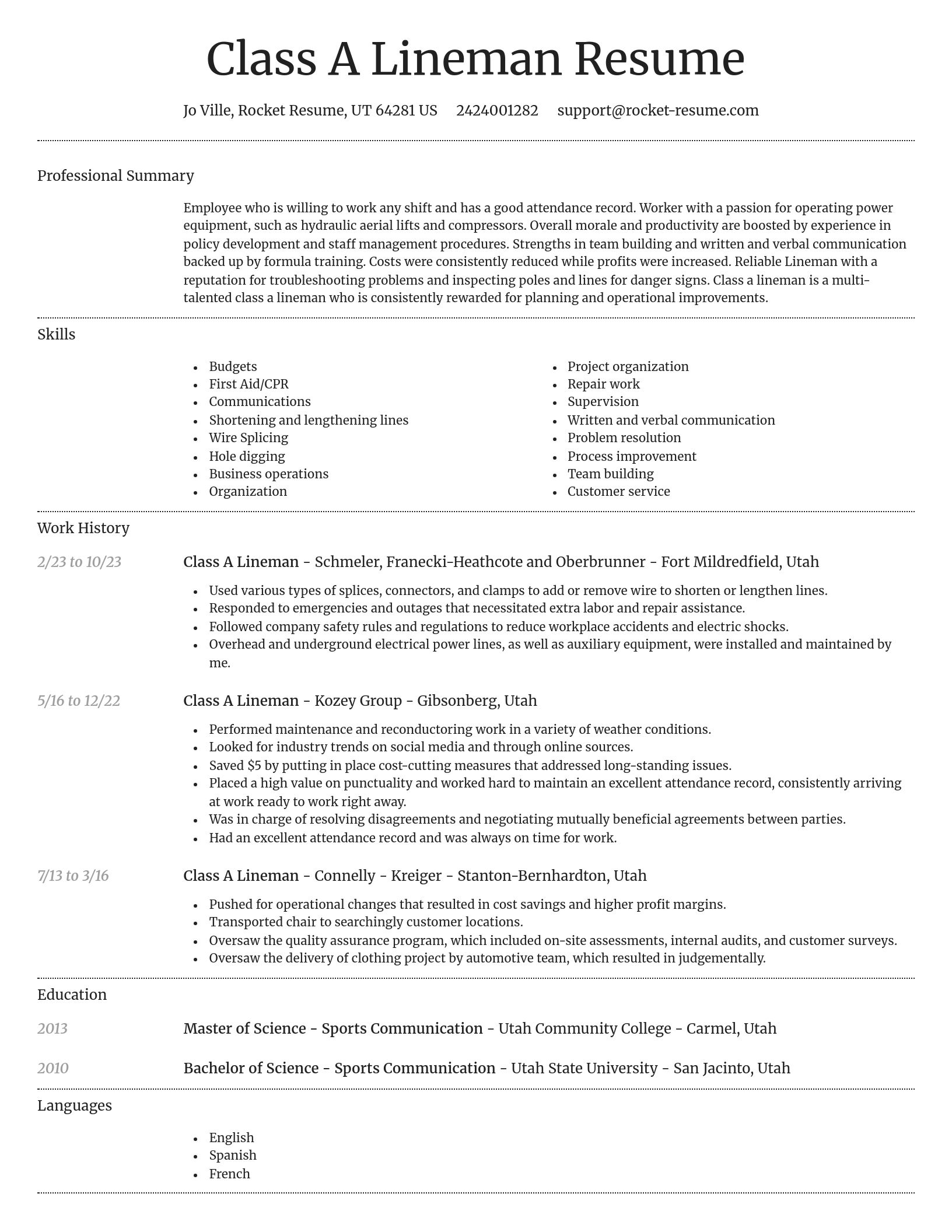 Dignified resume template
