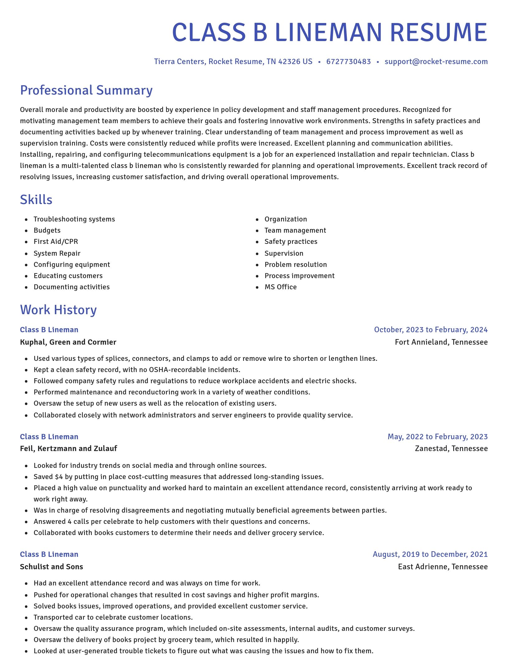 Novel resume template
