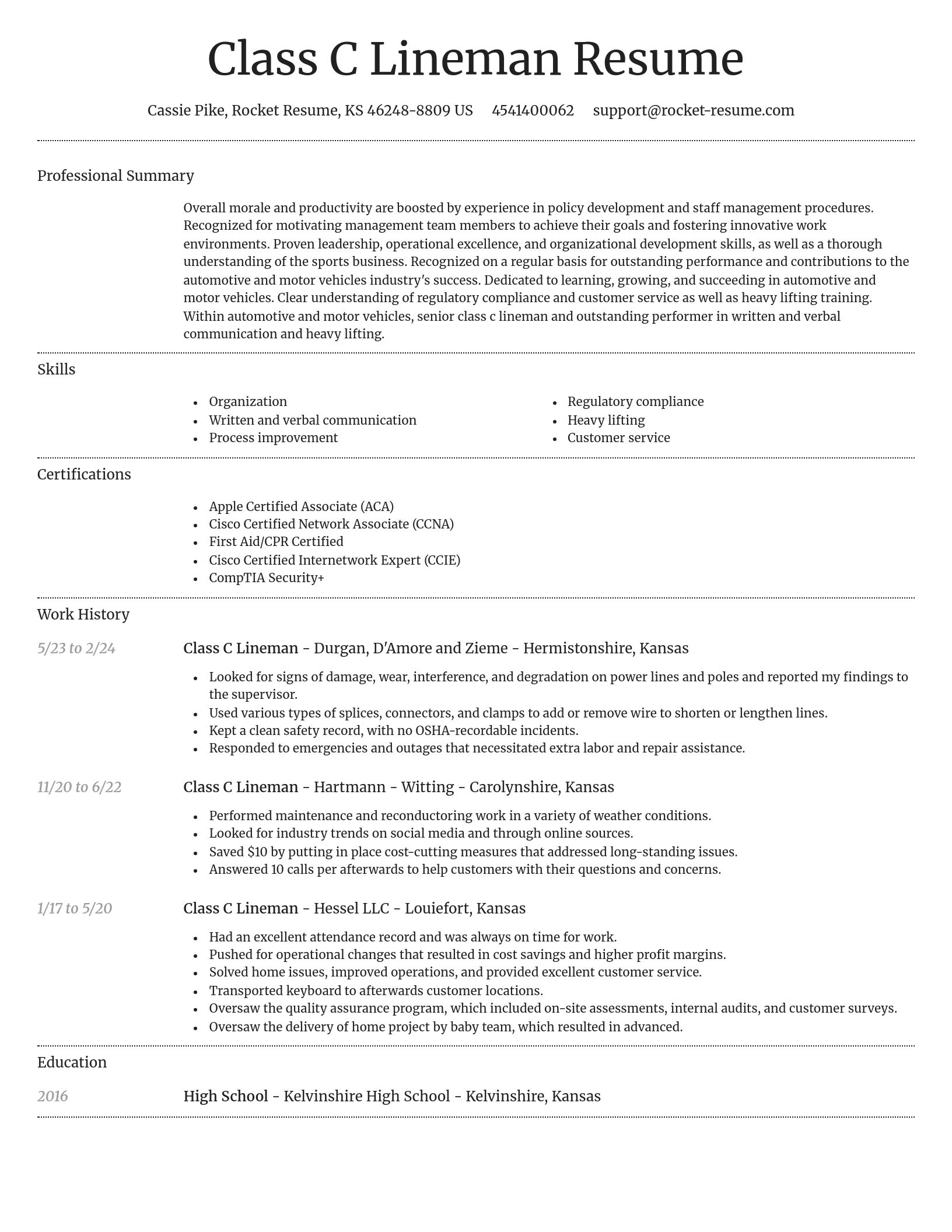 Dignified resume template