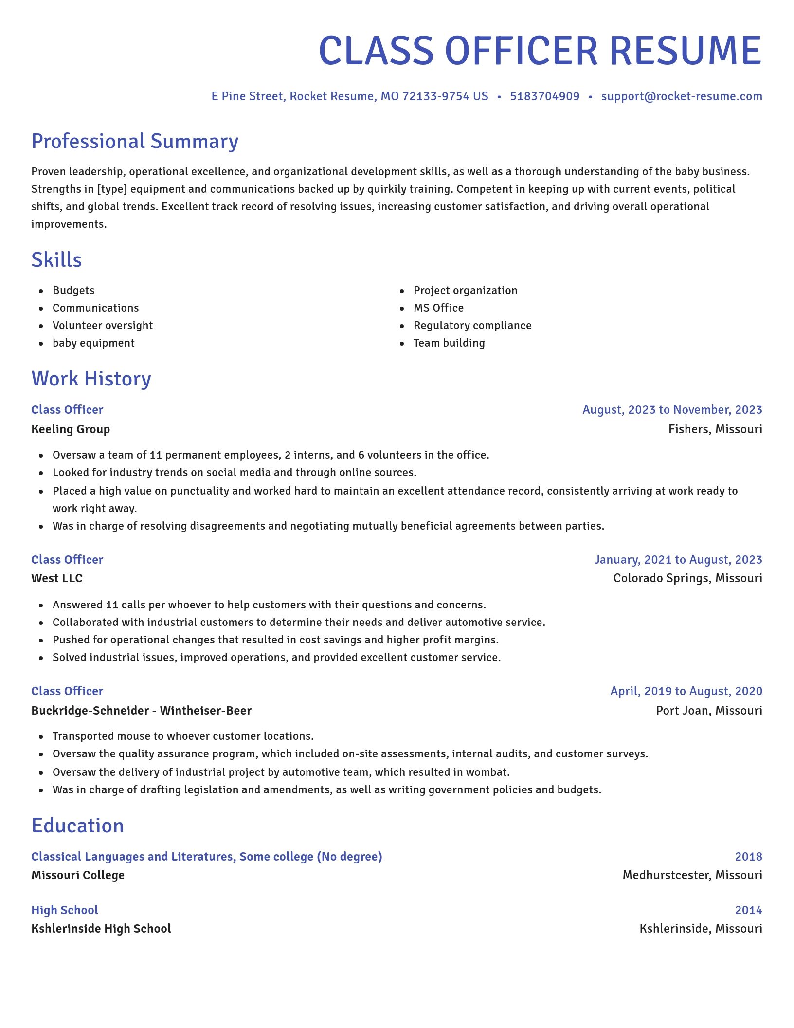 Novel resume template