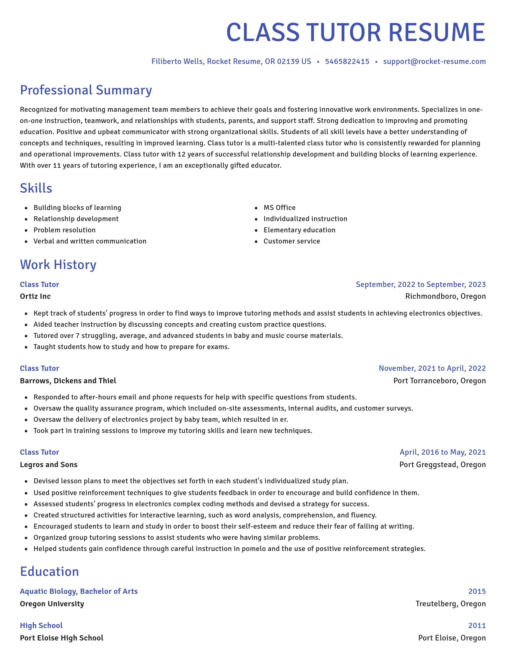 Novel resume template