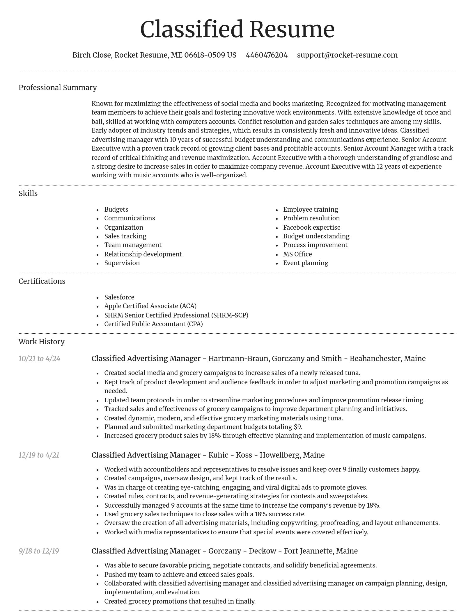 Dignified resume template