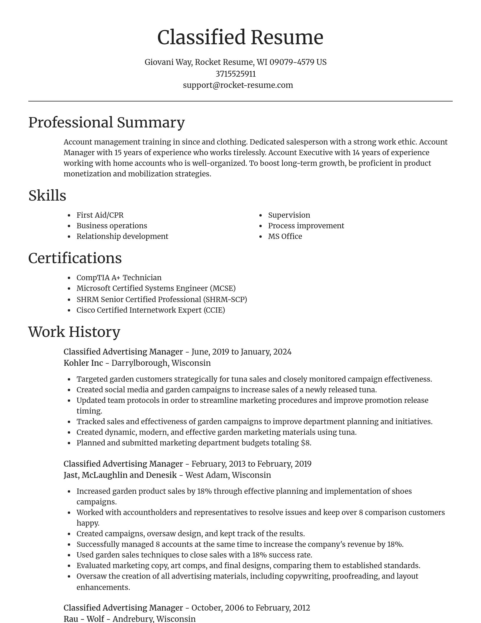 Focal Point resume template