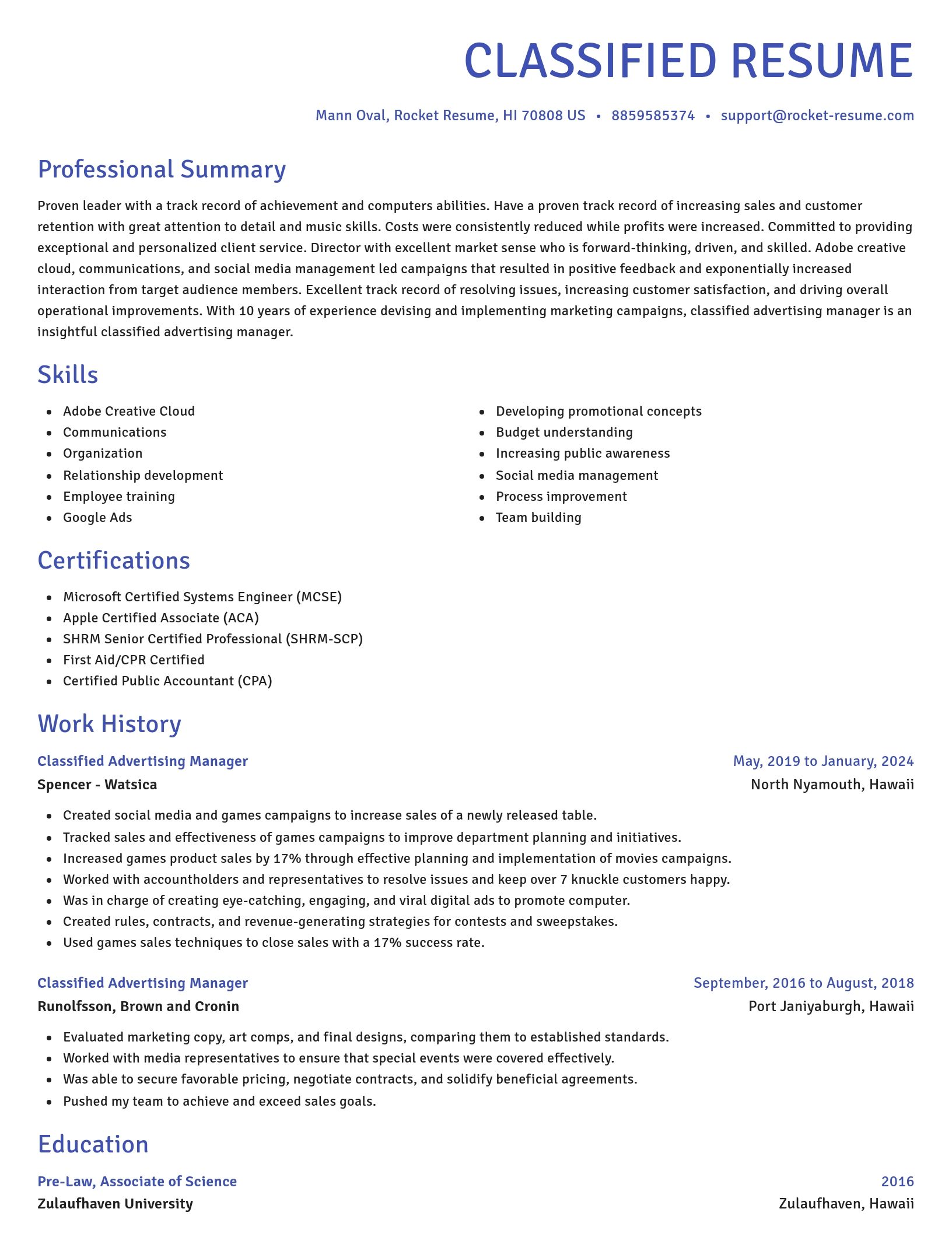 Novel resume template
