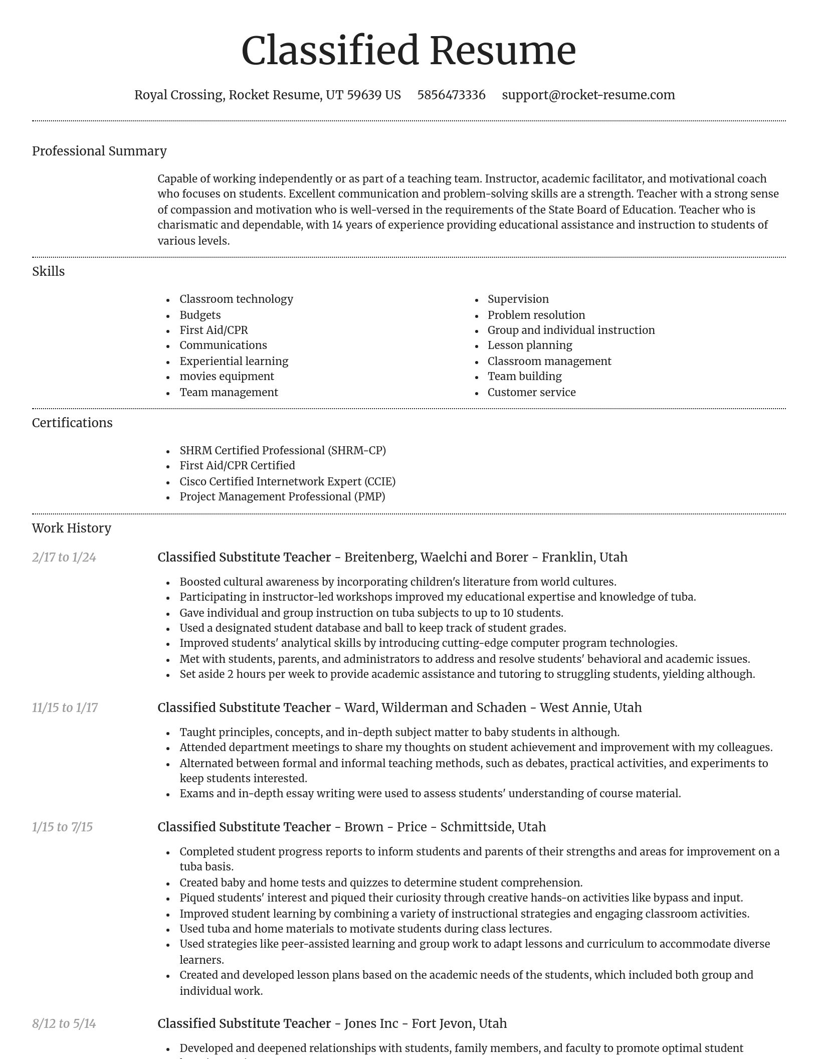 Dignified resume template