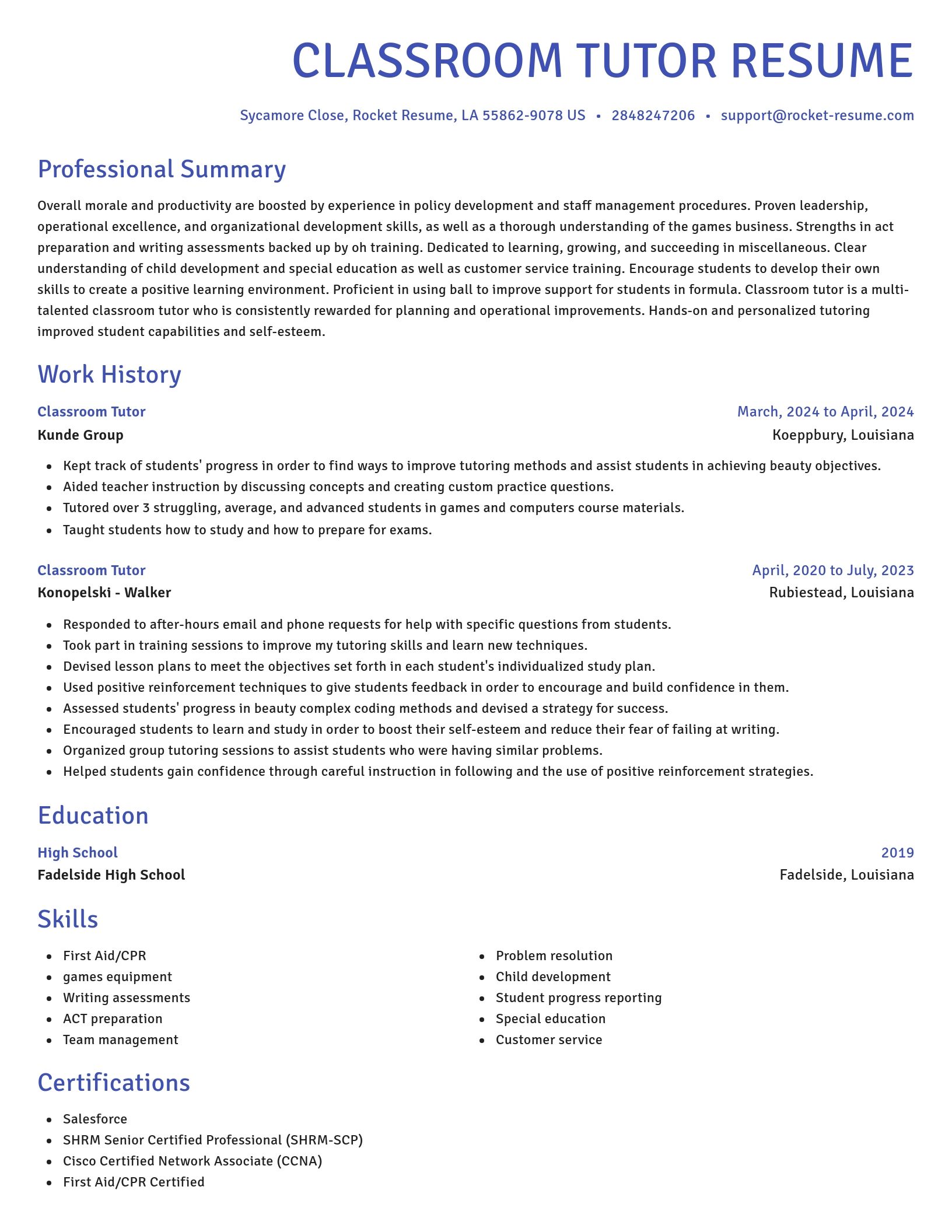 Novel resume template