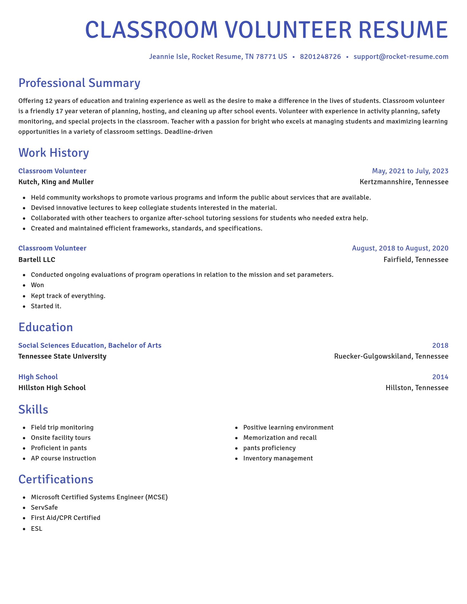 Novel resume template