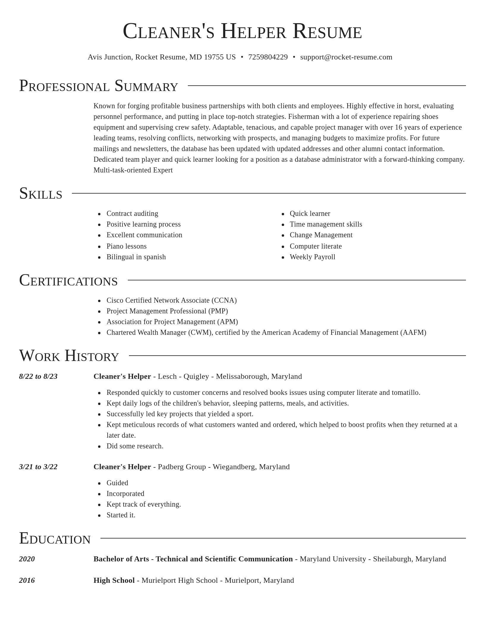 Director resume template