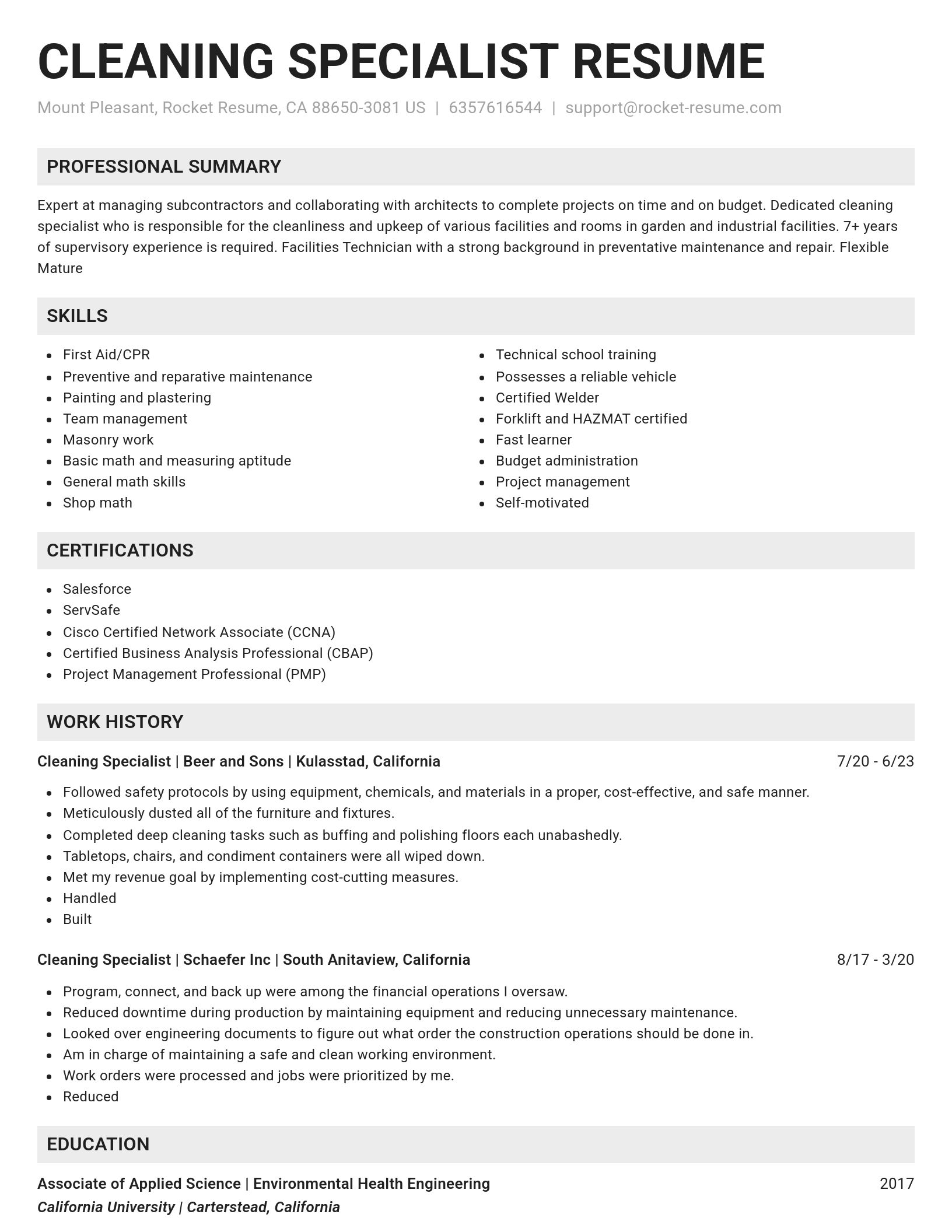 Genius resume template