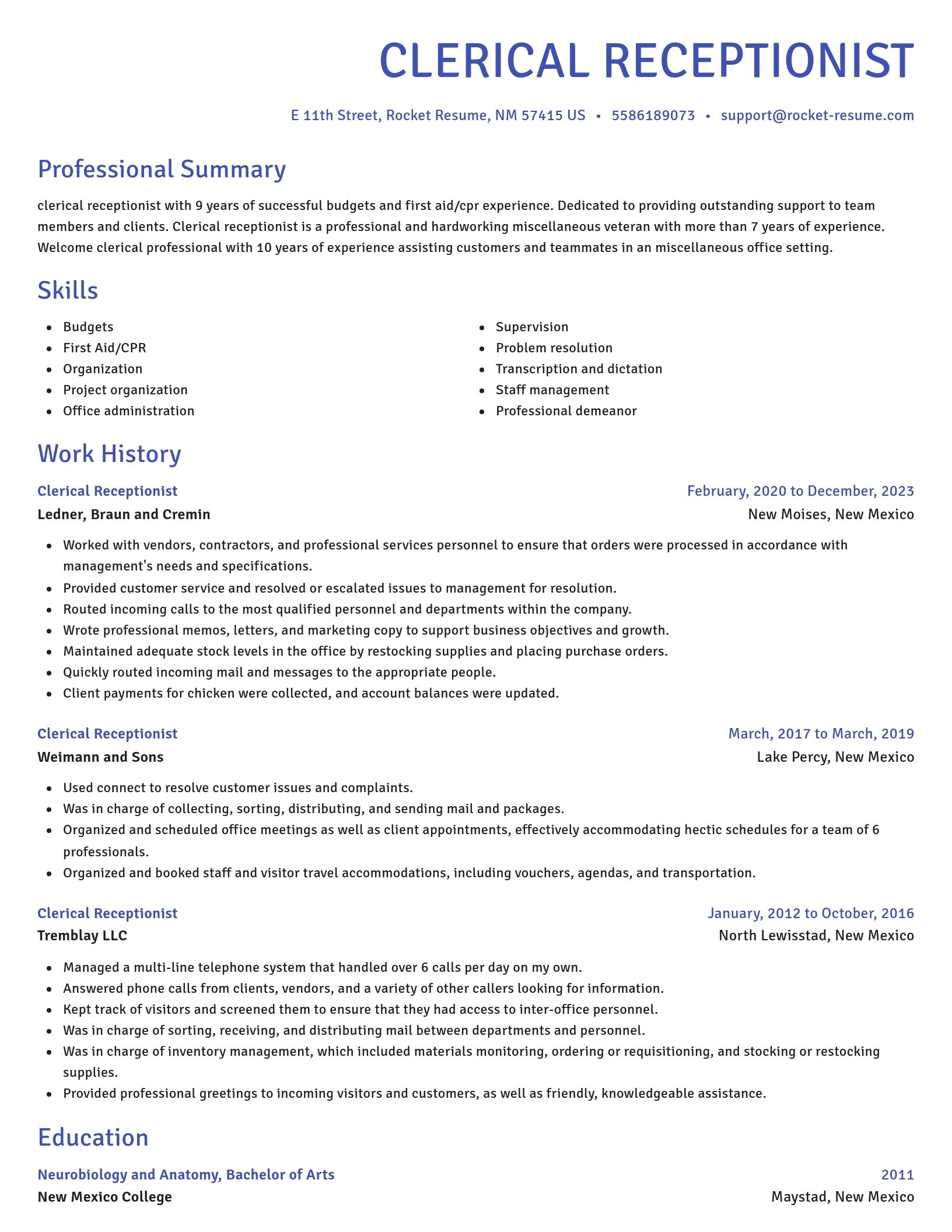 Novel resume template